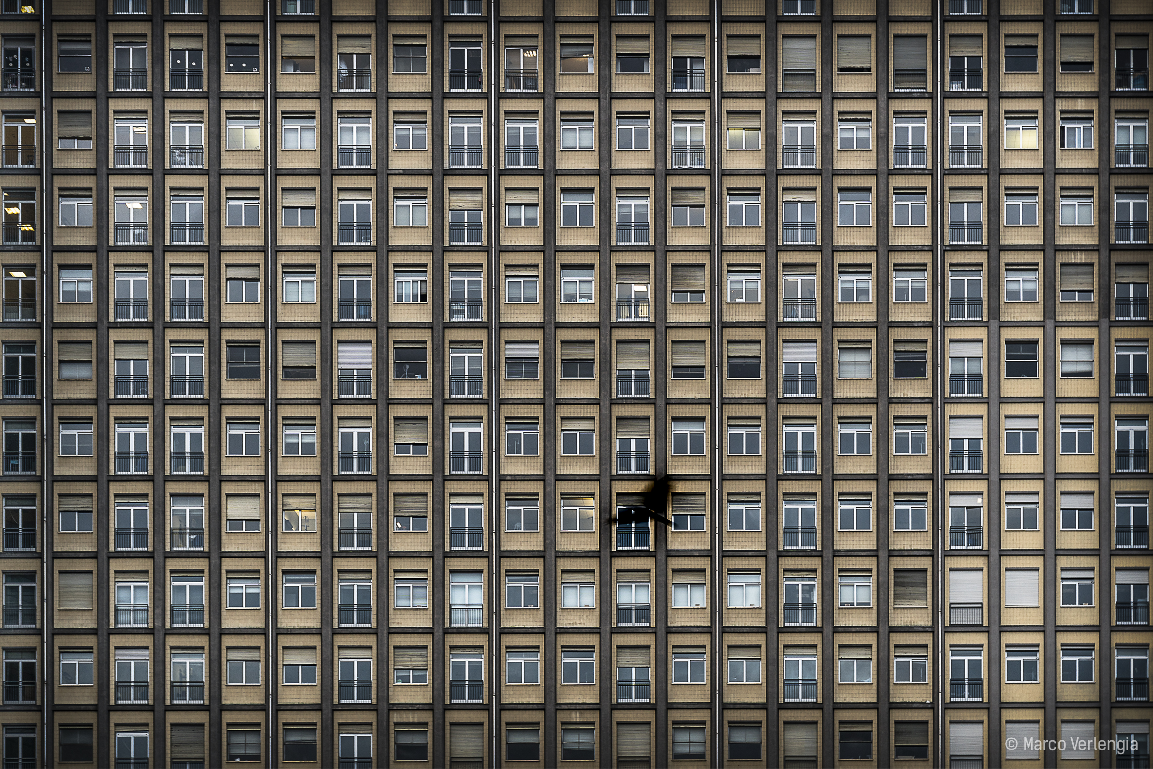 Alienation VS Freedom