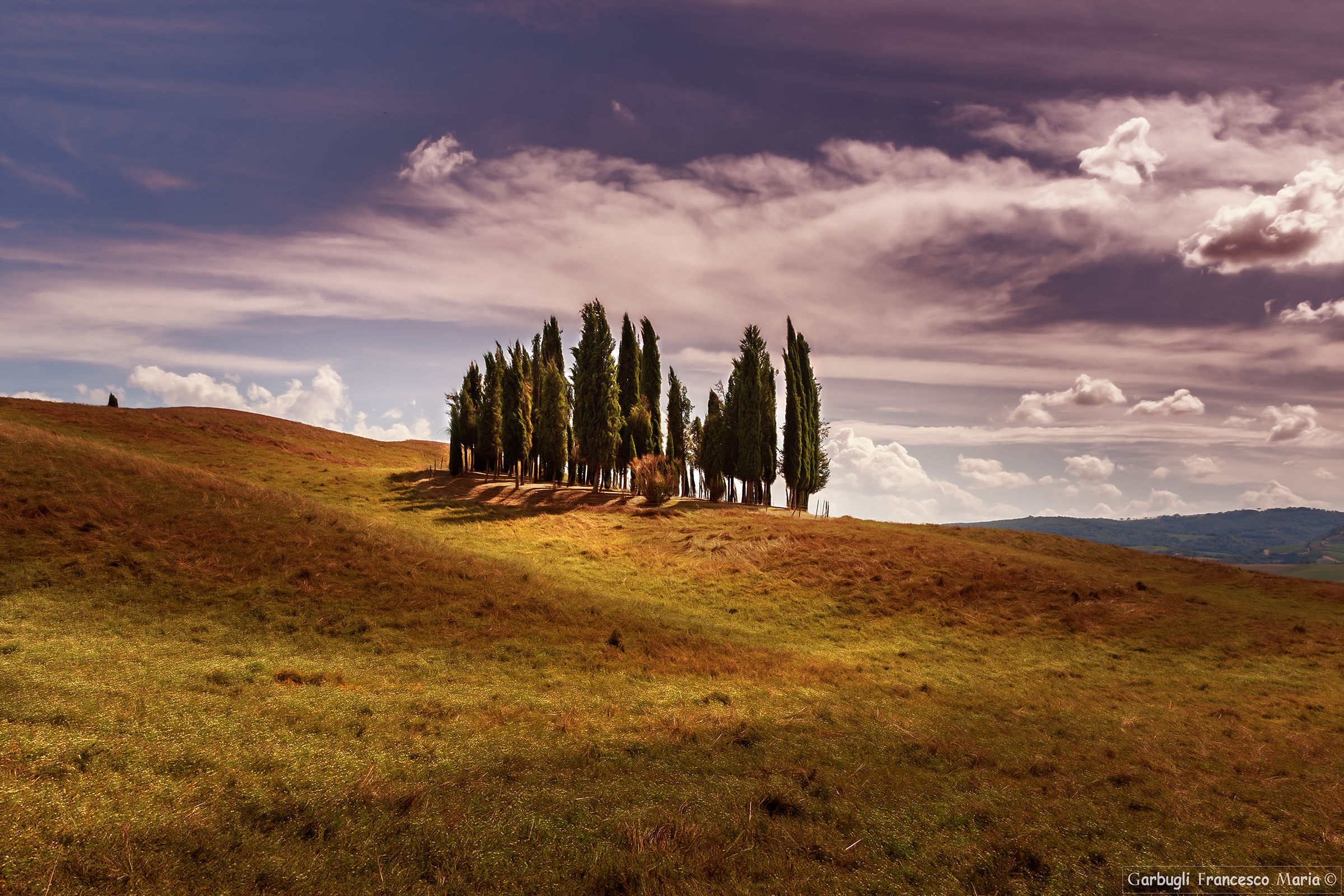 L'Estate dei Cipressi di San Quirico