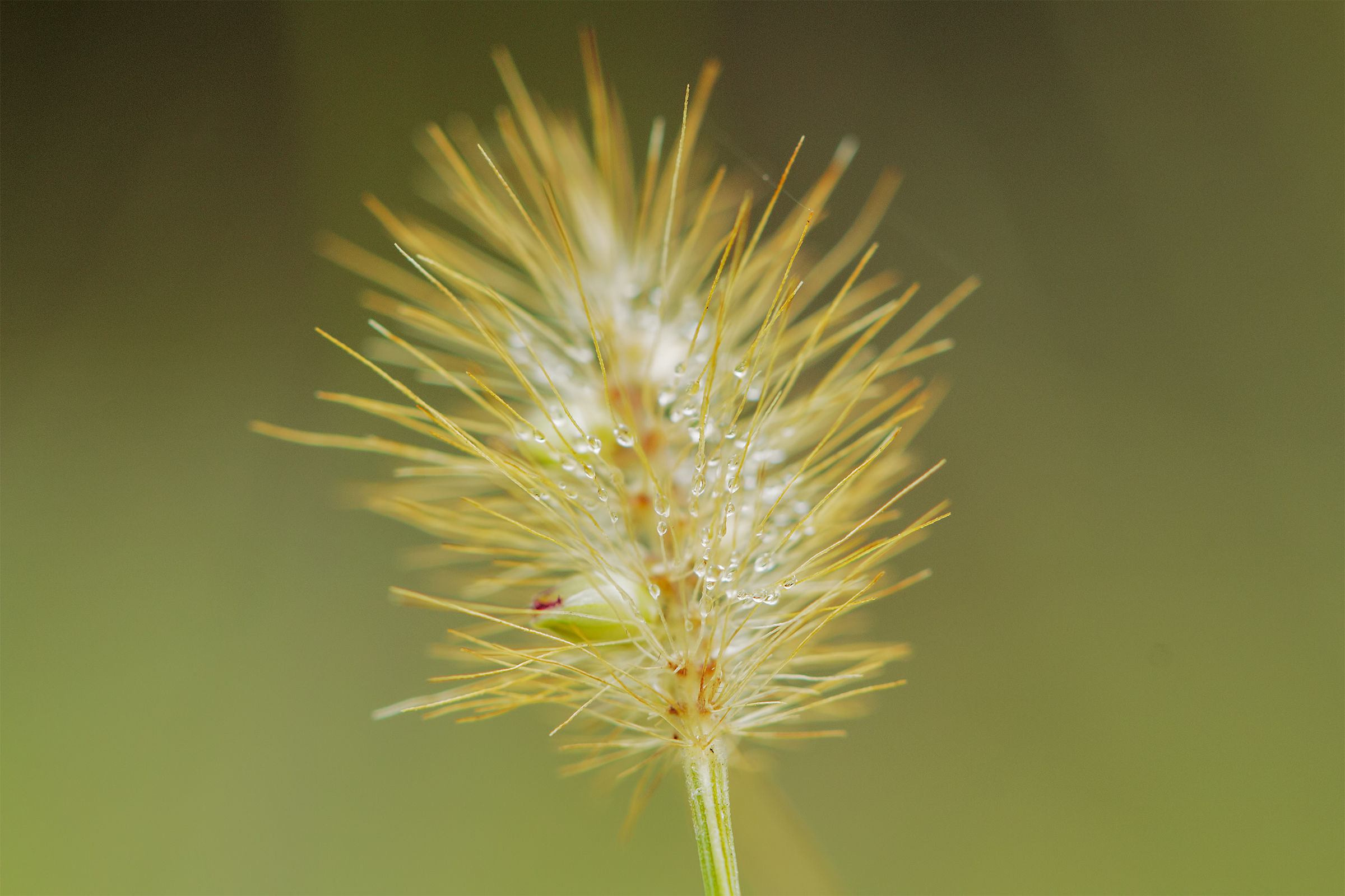 Goccioline sugli scivoli