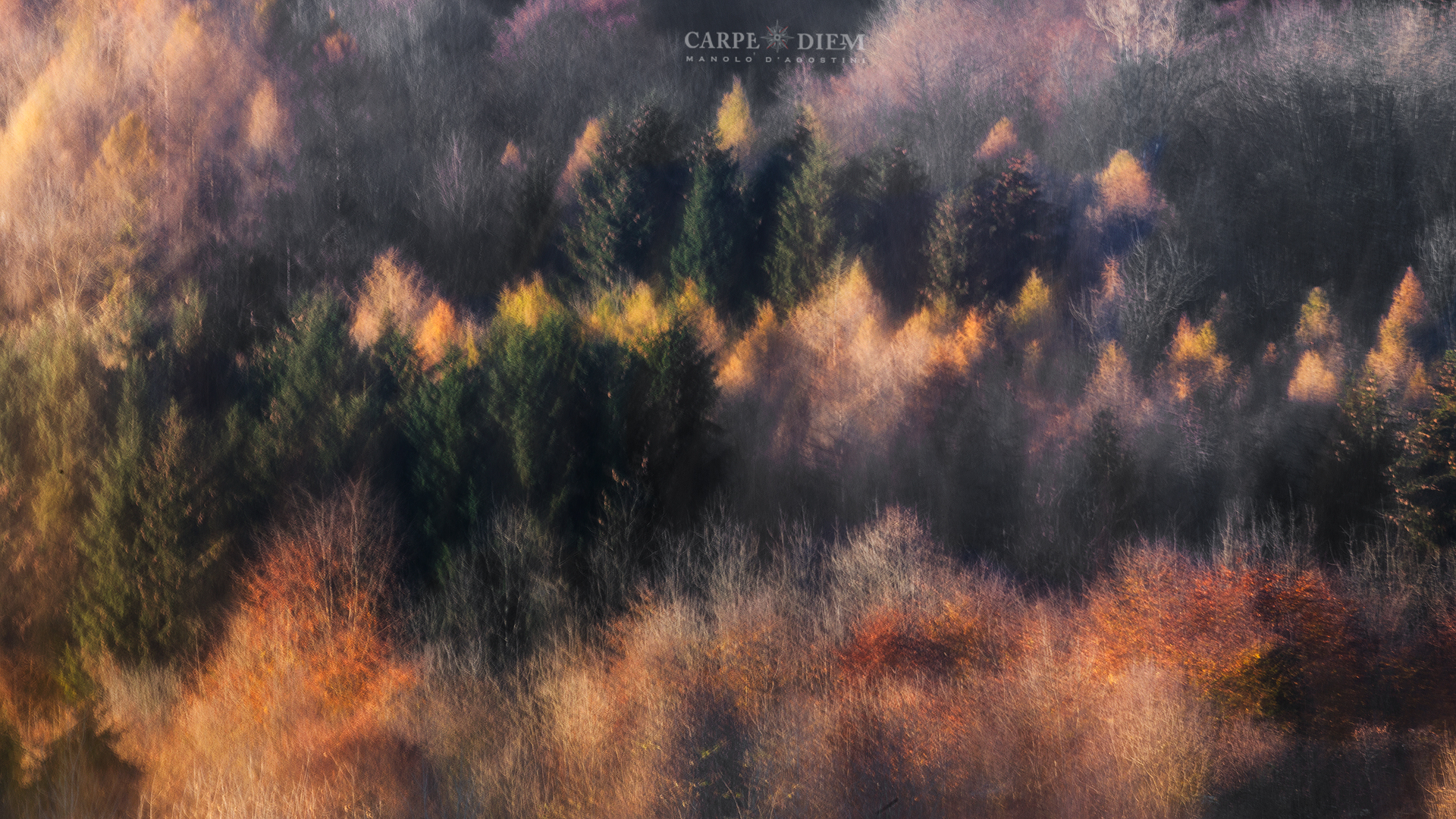 Astrattismo autunnale