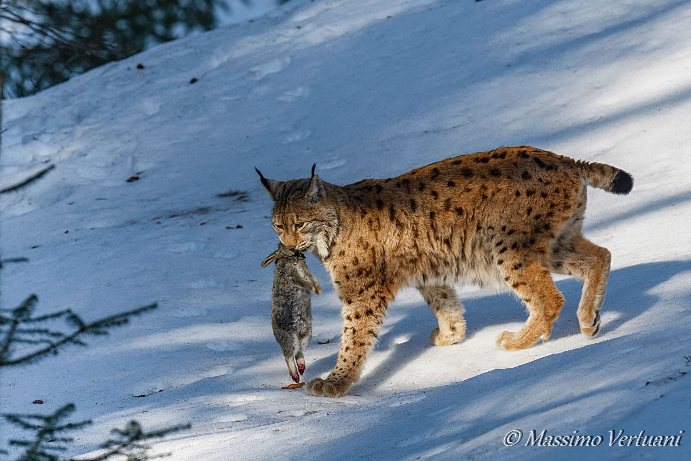 Even today.. We eat "Bayerischer Wald Nationalpark"