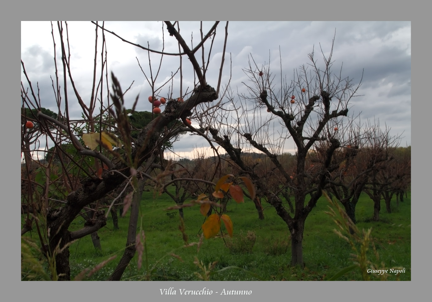 Autunno a Villa Verucchio