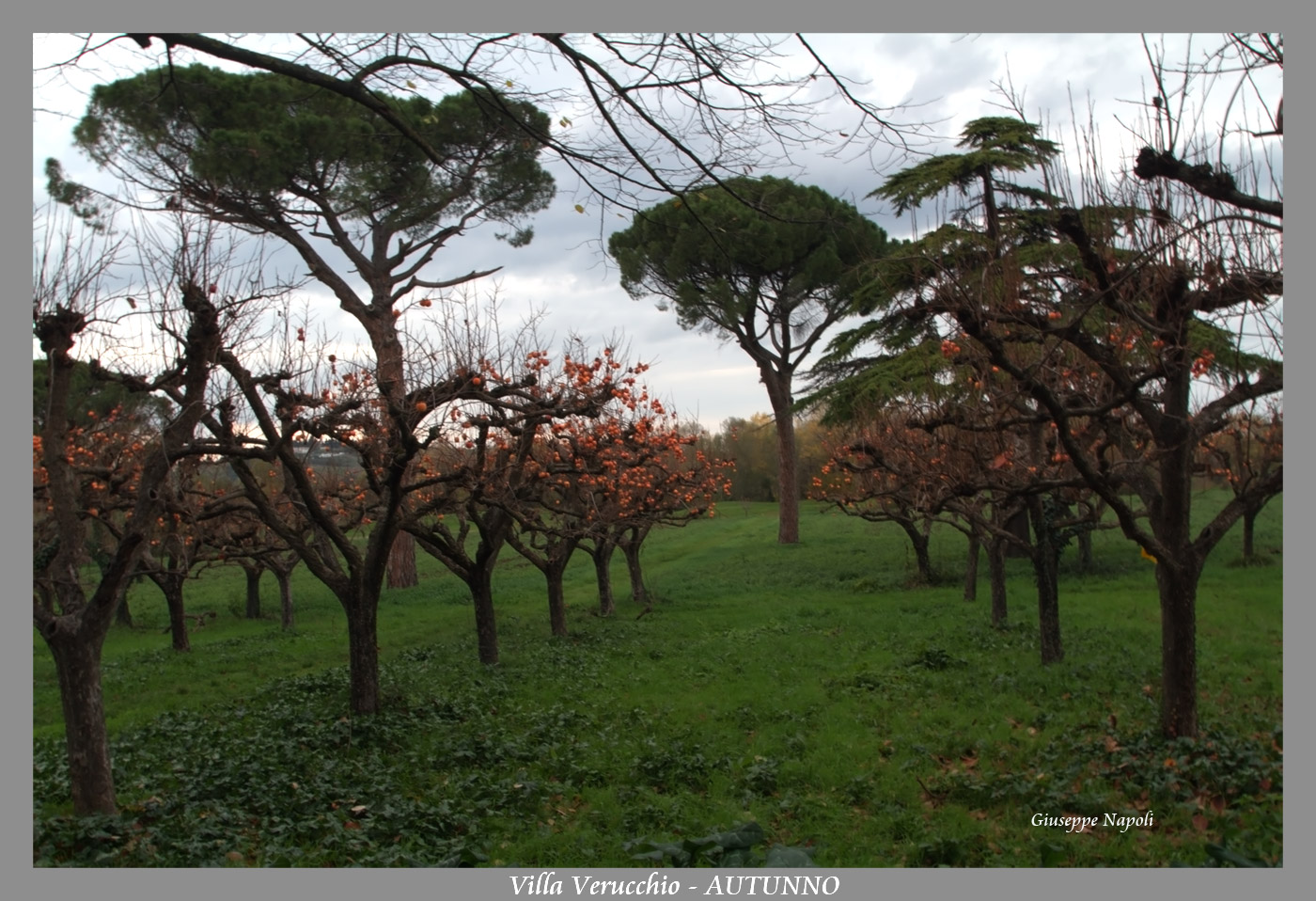 Autunno a Villa Verucchio