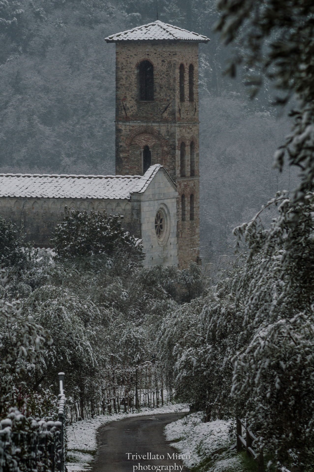 Pieve di Valdicastello ( LU )
