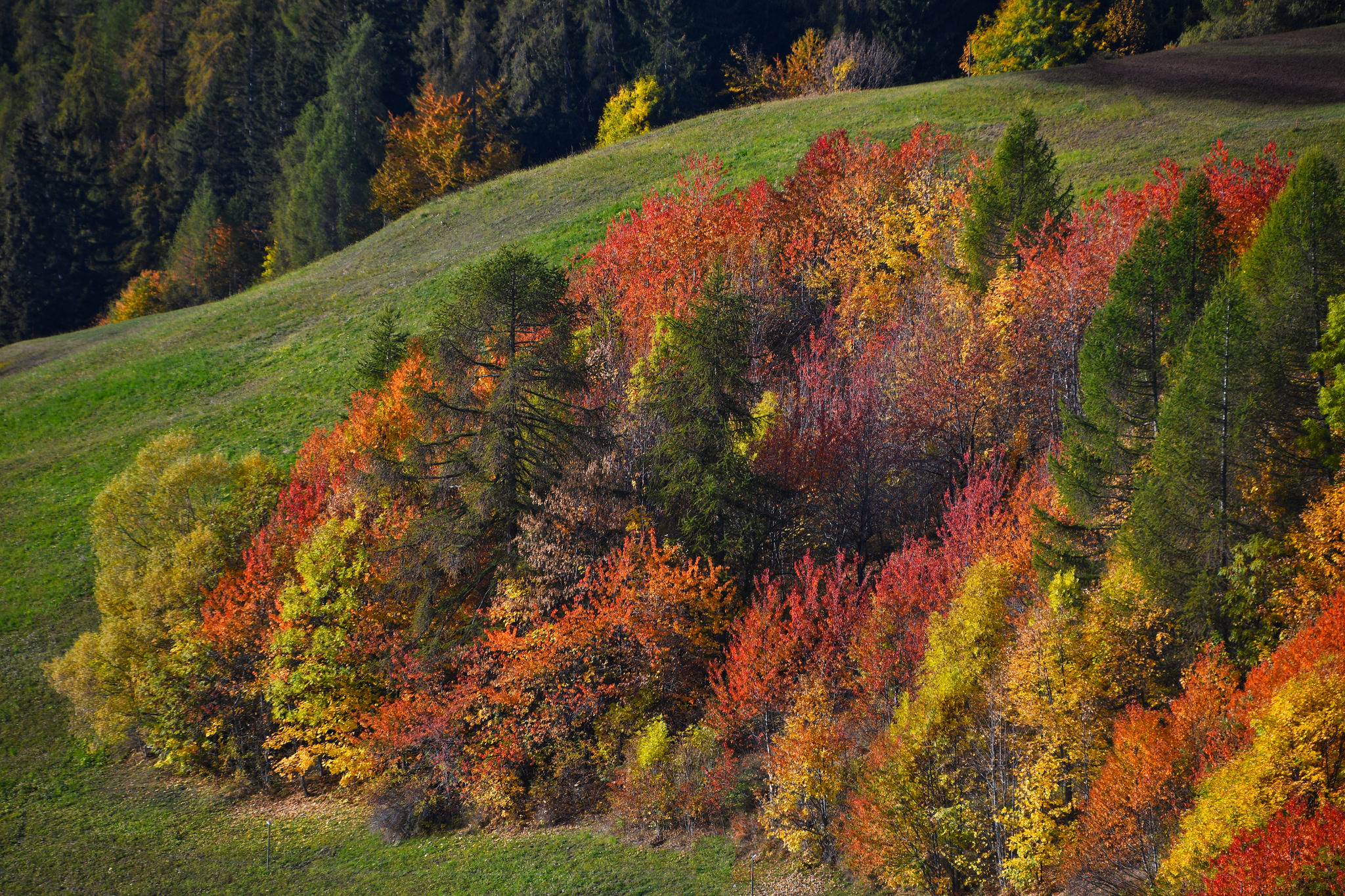 The colors of autumn