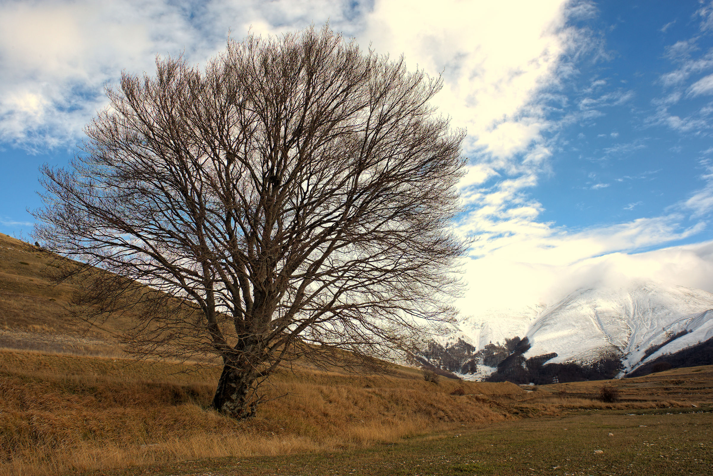 Castelluccio di Norcia