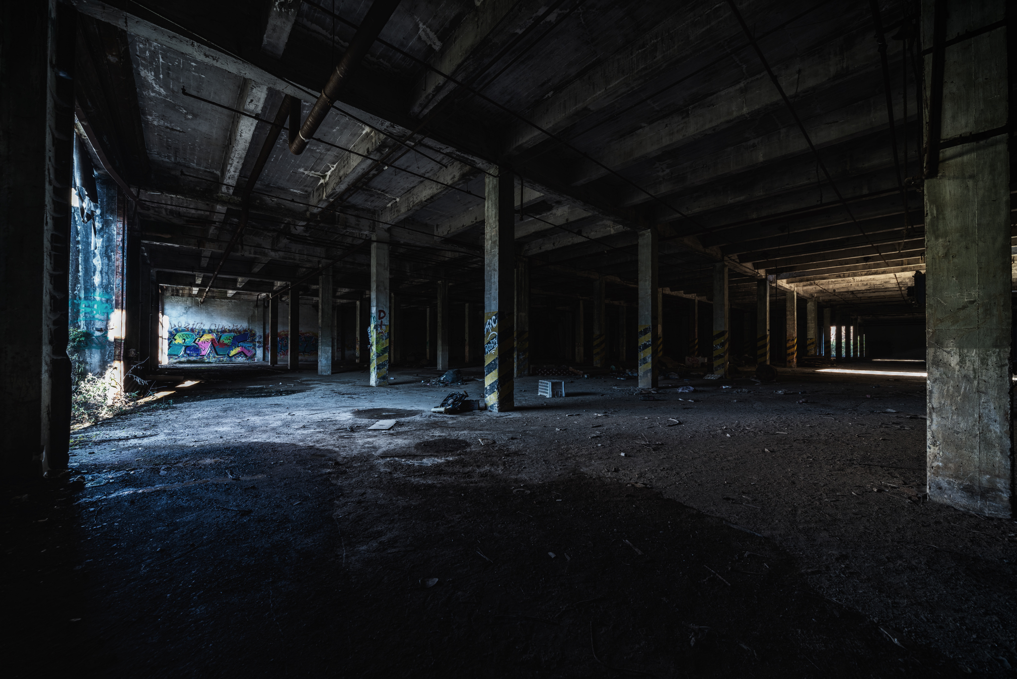 Quattro passi nella vecchia cartiera...