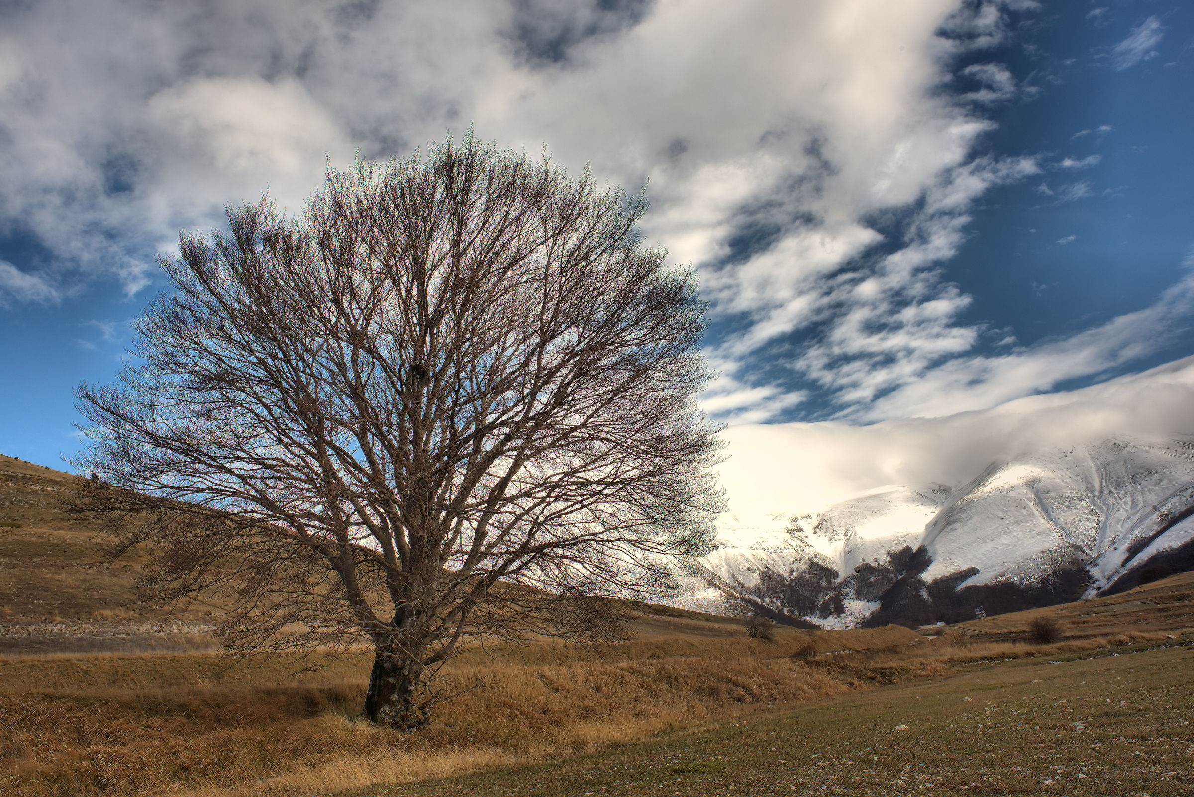 Castelluccio di Norcia