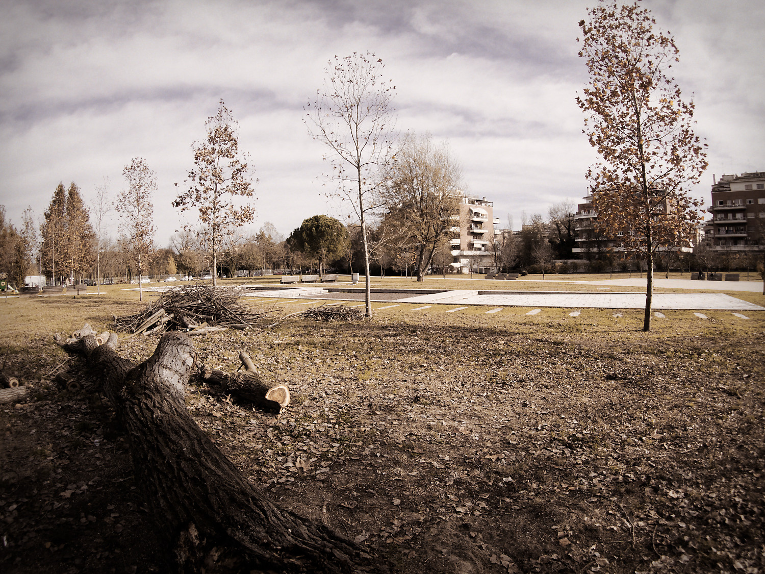 Olympus 9mm f8 body cap - 2a prova