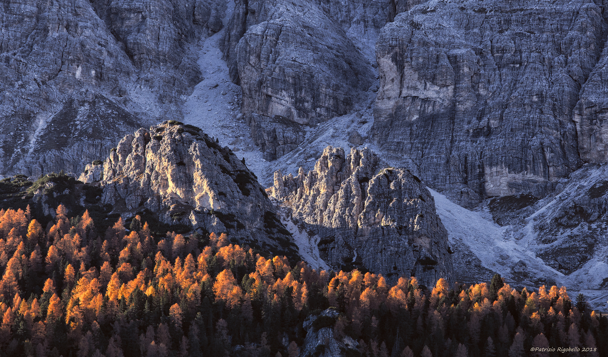La linea dei Larici coraggiosi