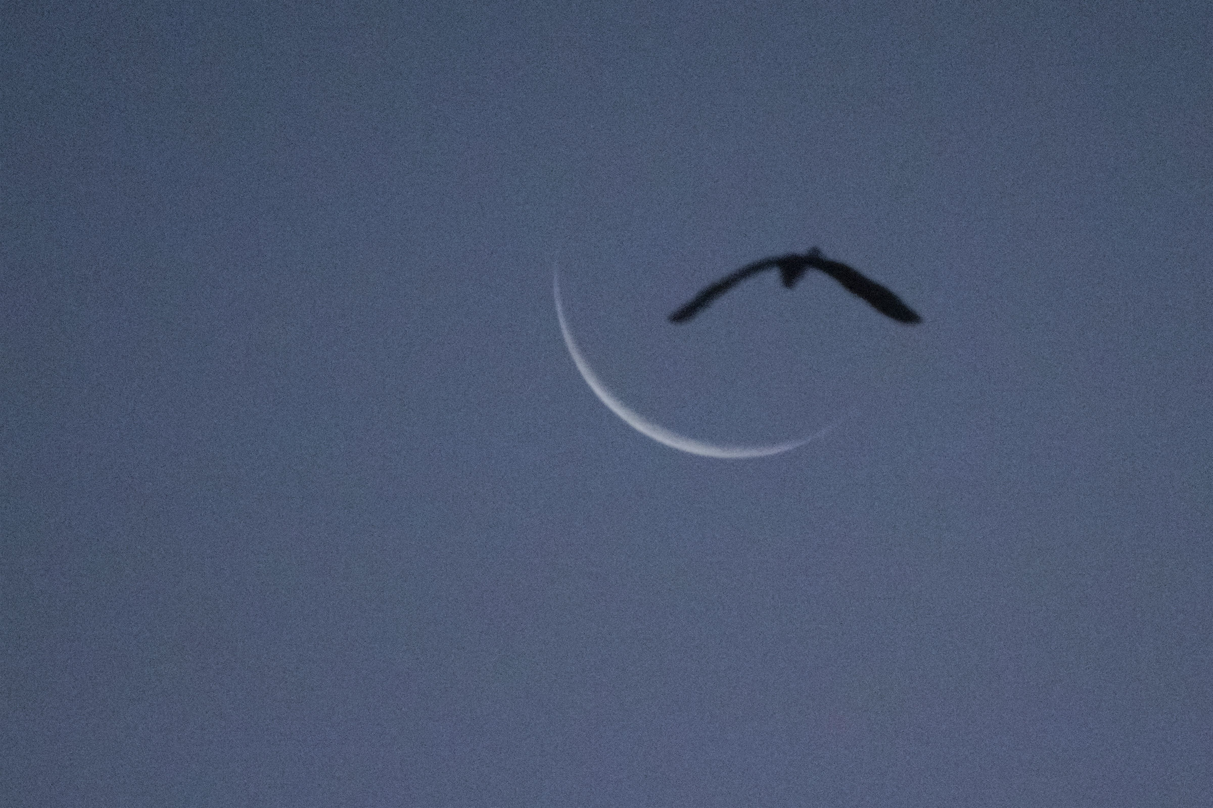 Volando verso la Luna