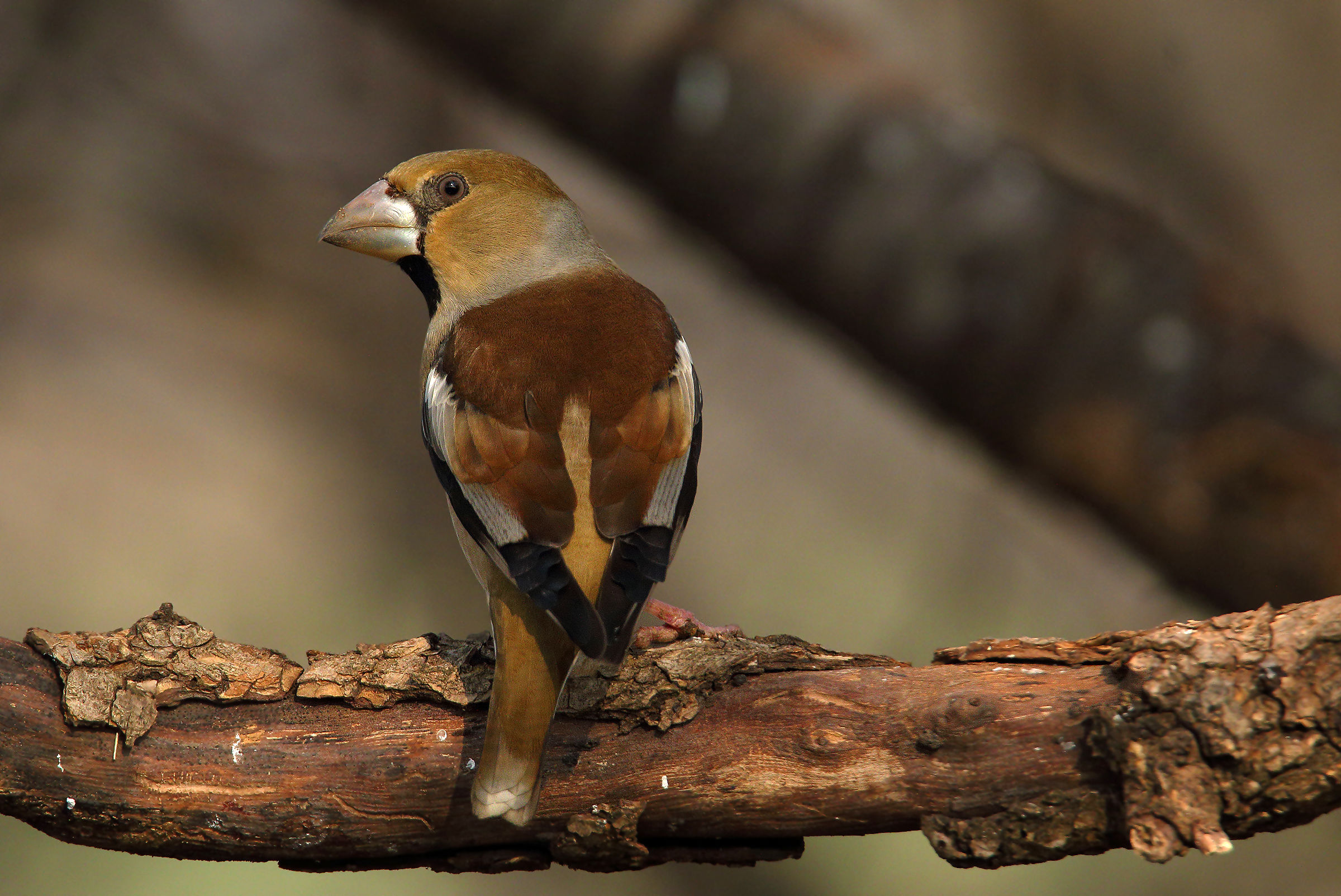 You have to always look behind....