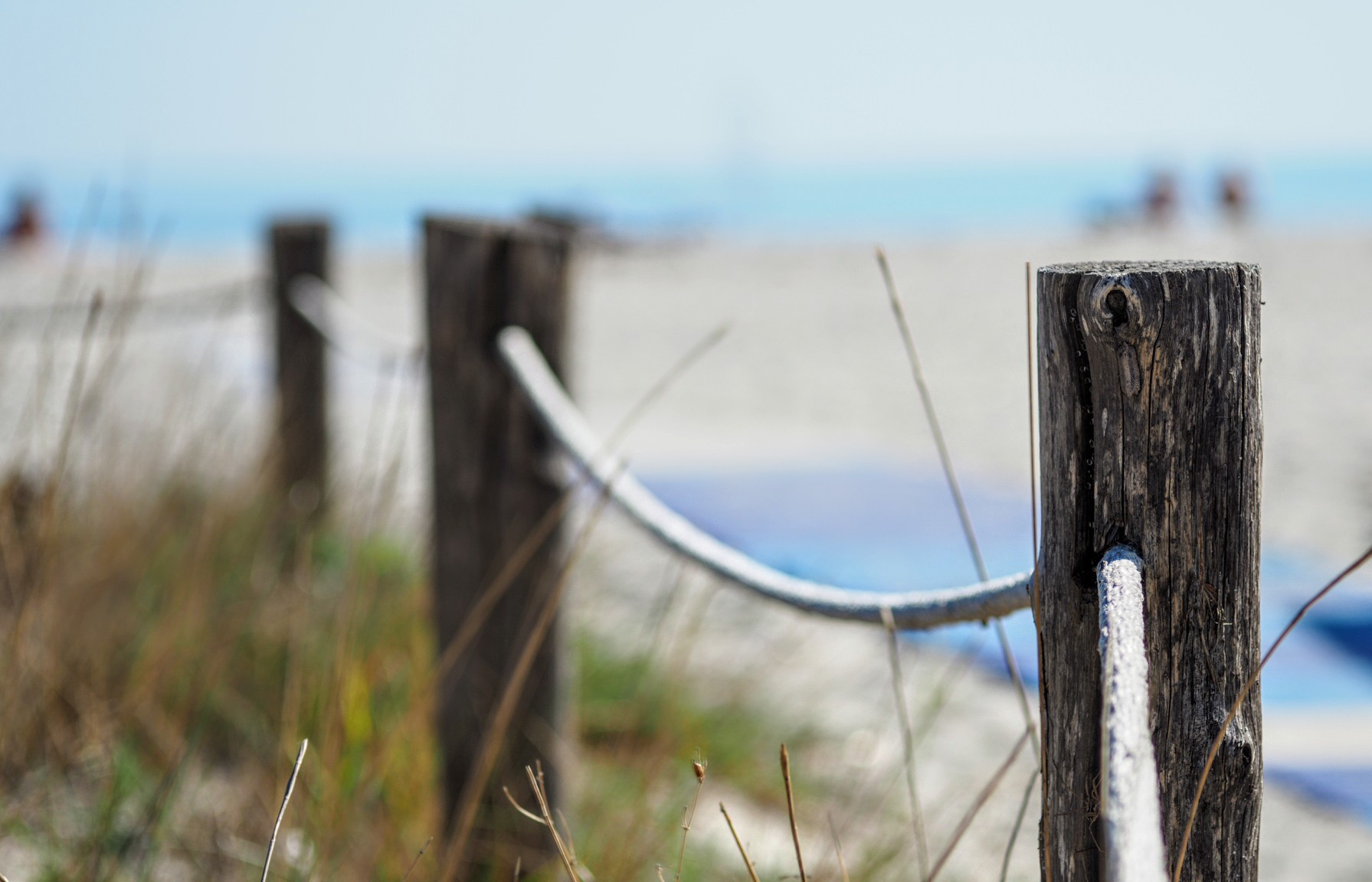 Cercando qualcosa da fotografare