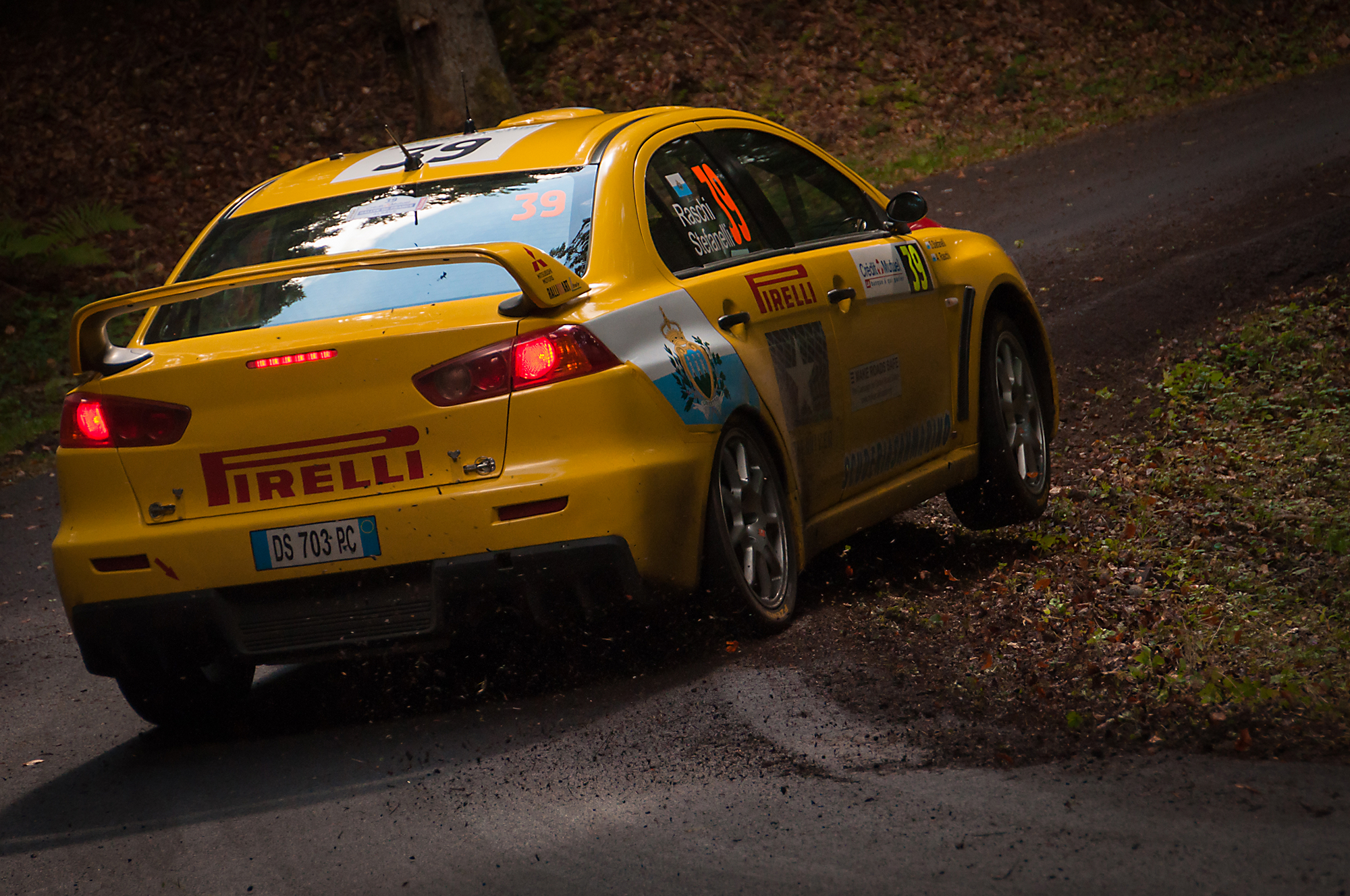 WRC Rallye de France-Alsace 2010-Raschi/Stefanelli