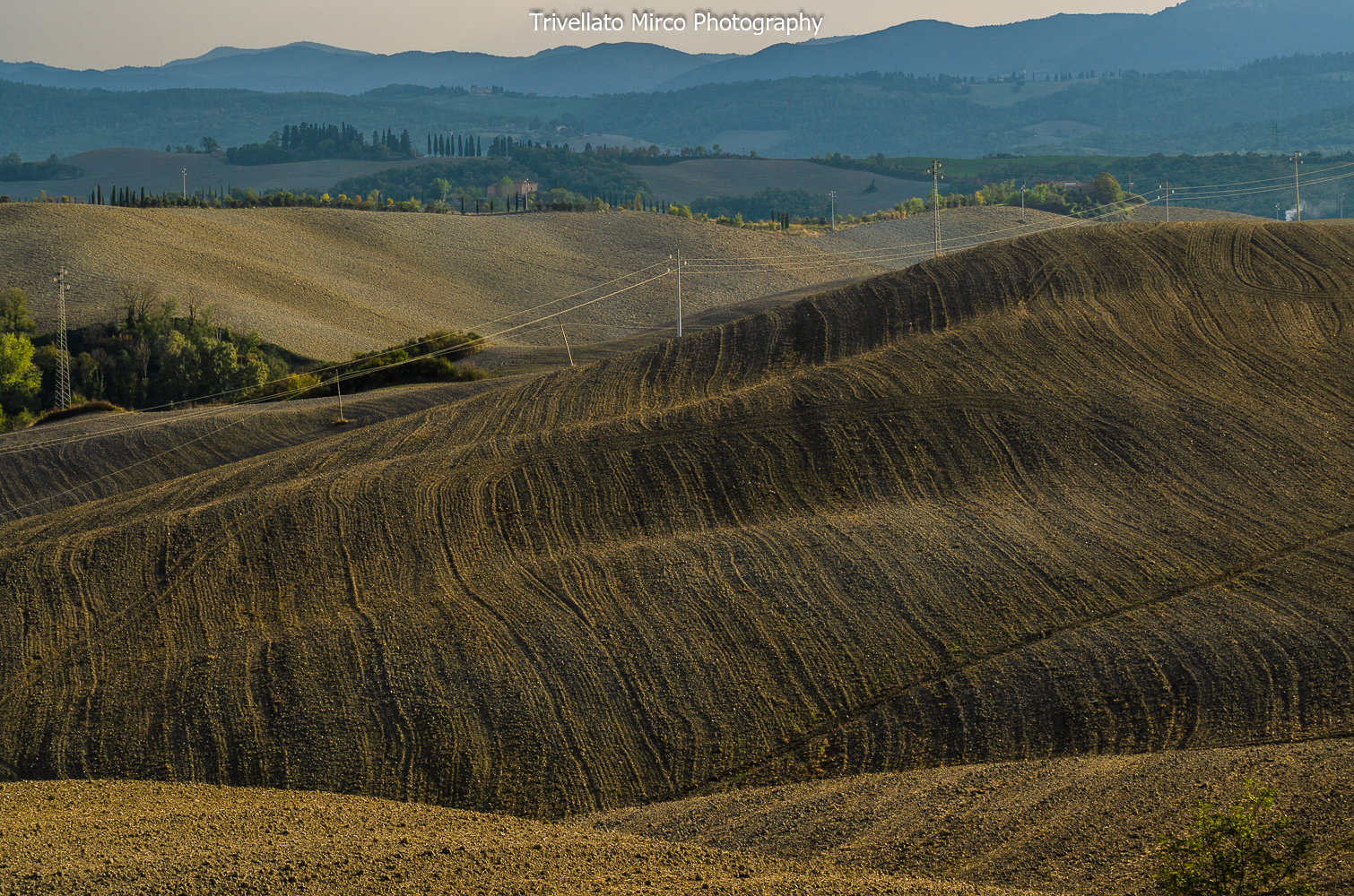 Colline di Volterra