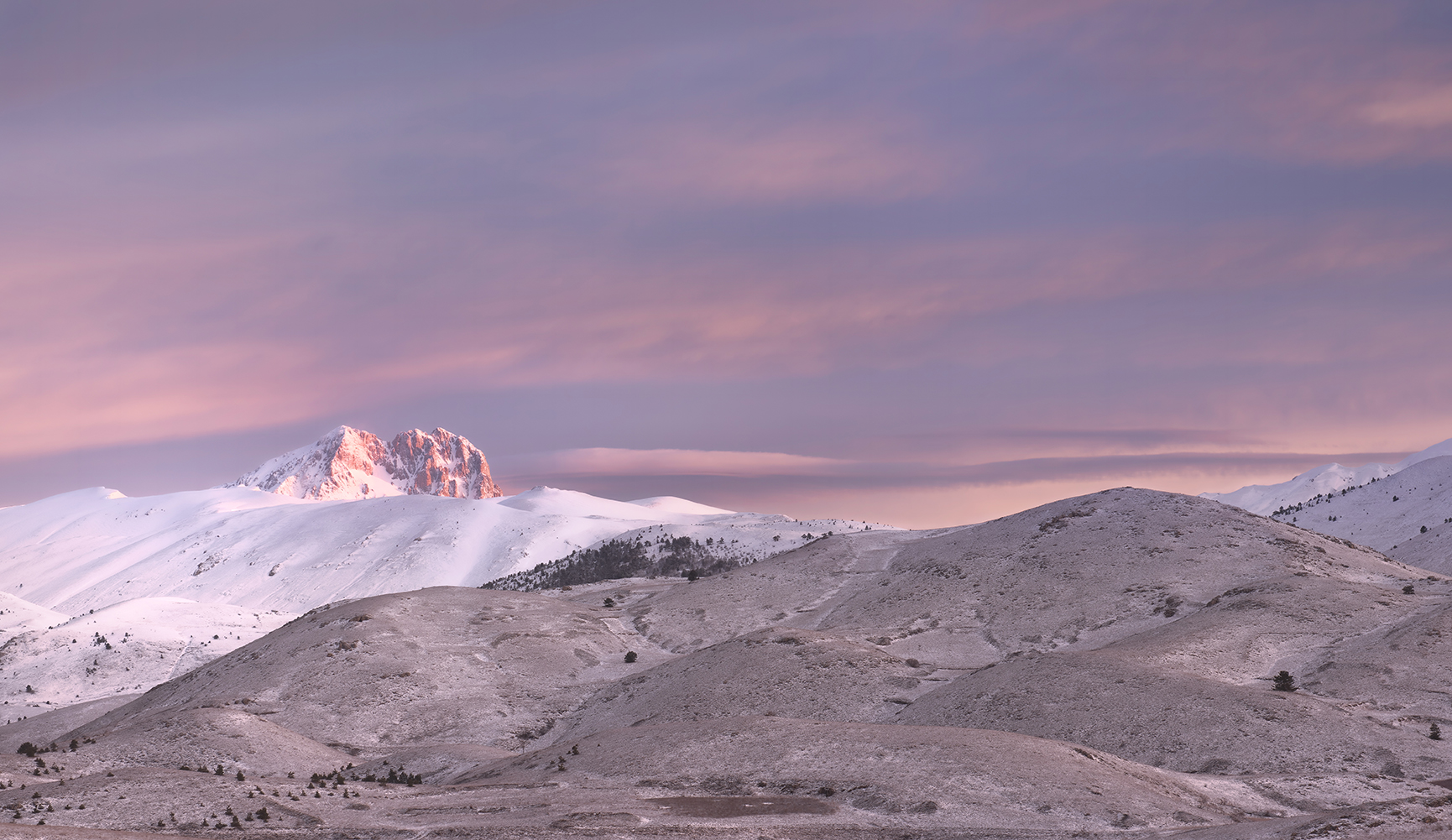 The Beauty Tape Rider