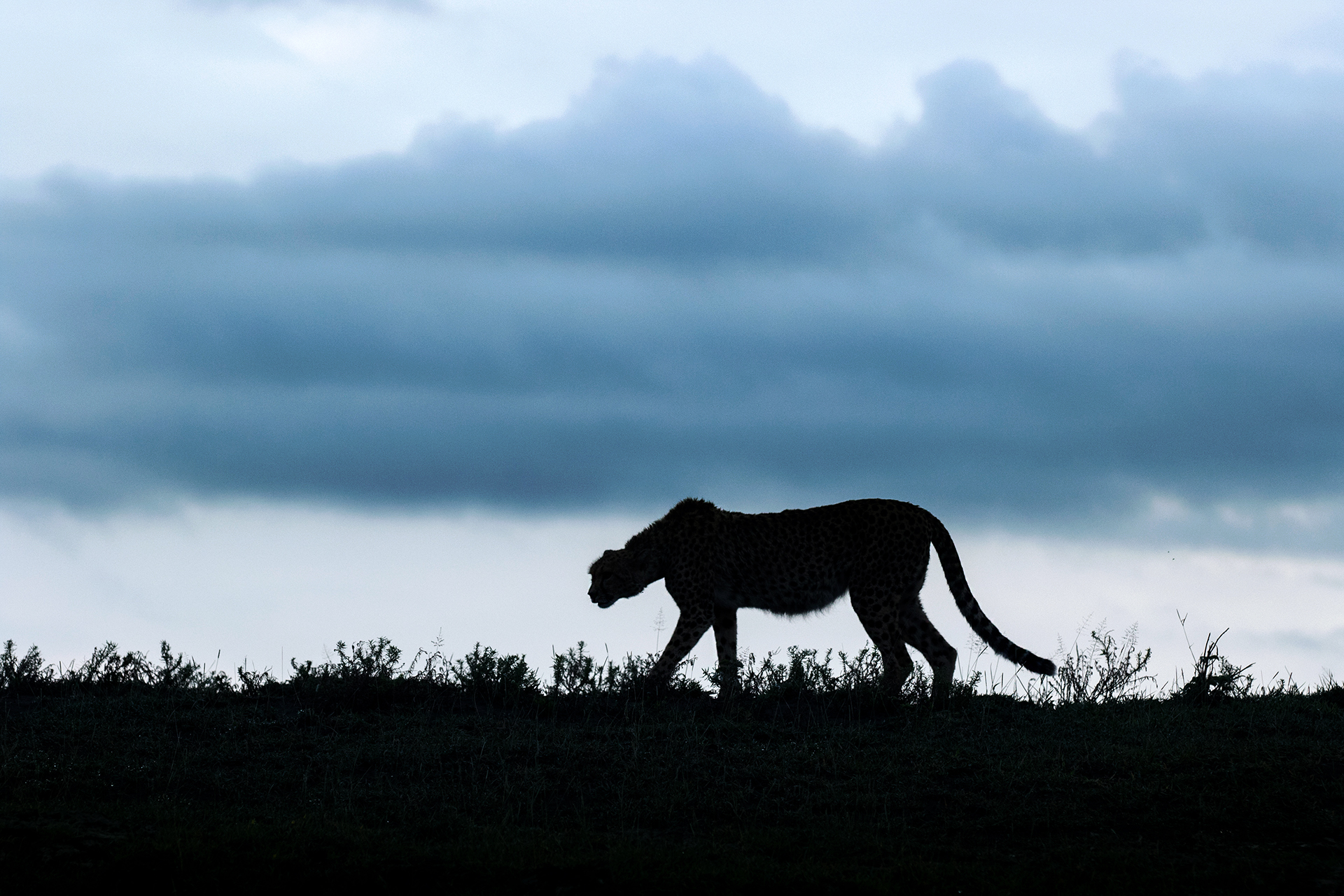 l' inizio di un nuovo giorno