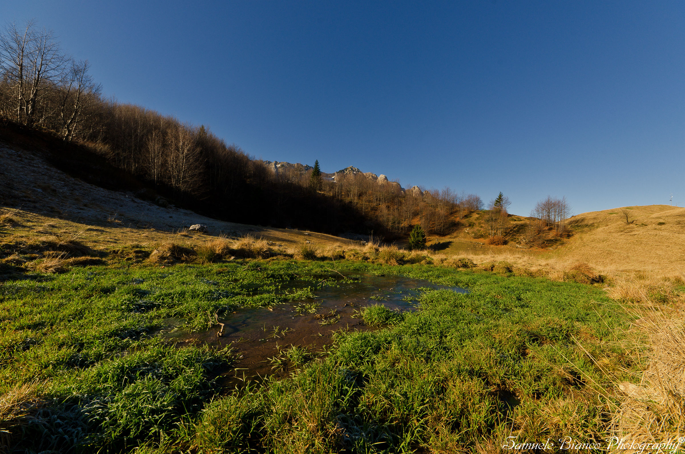 On Autumn Campogrosso