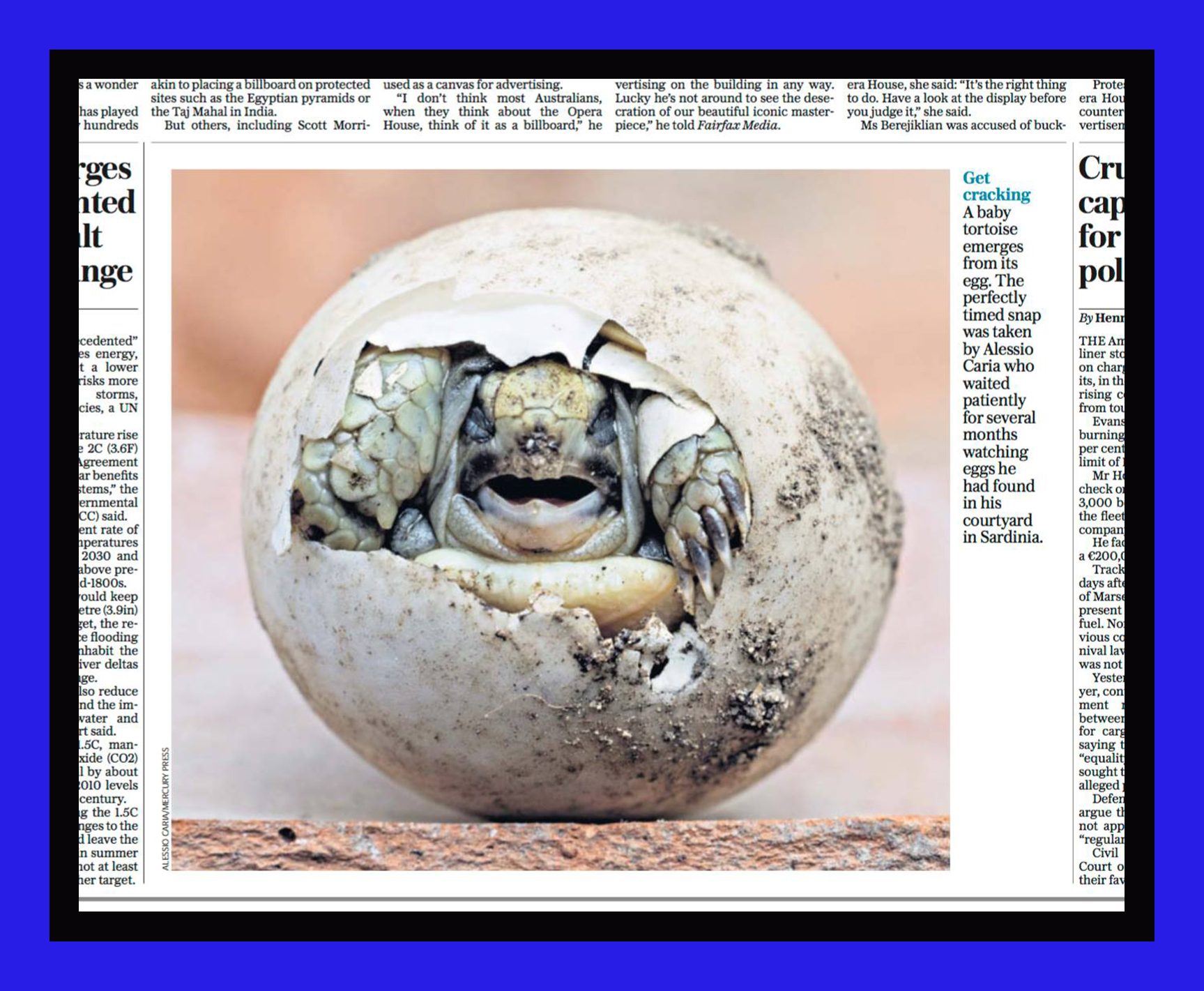 Other photo in the Daily Mirror