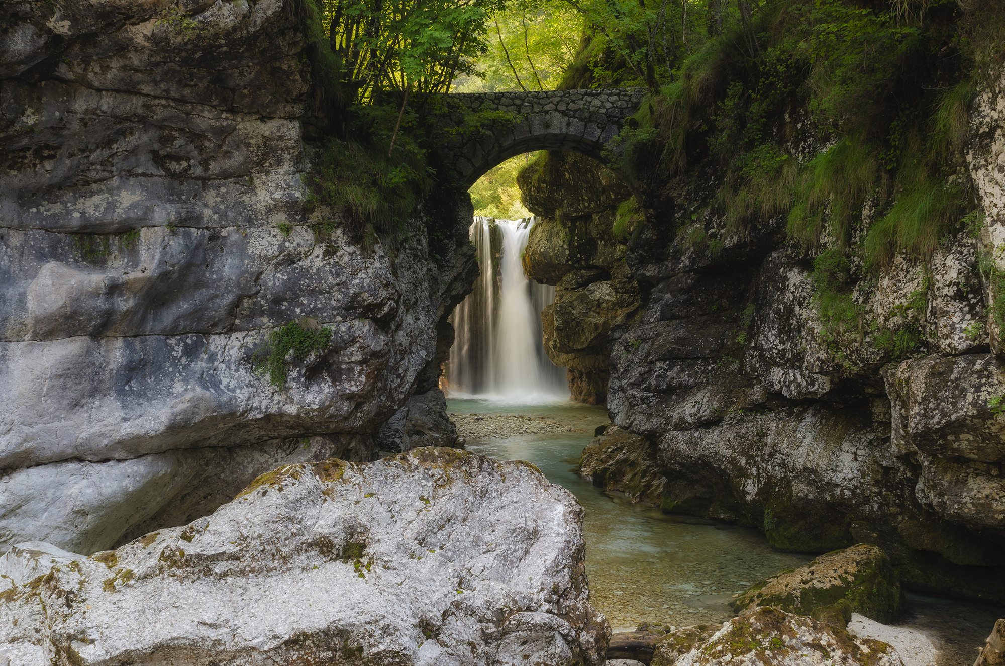 "Corner of Paradise"