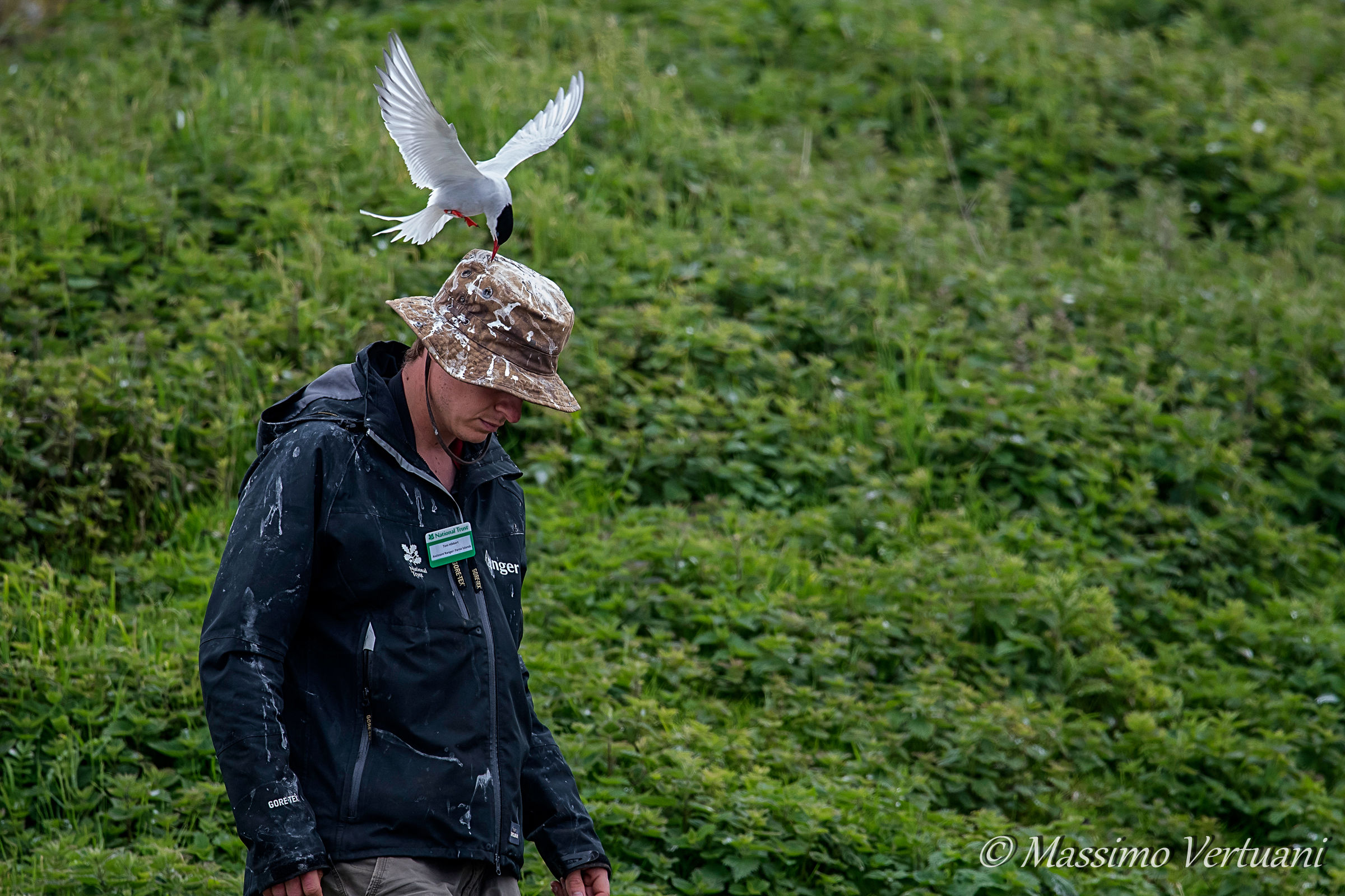 La dura vita dei ranger..... (Scozia))