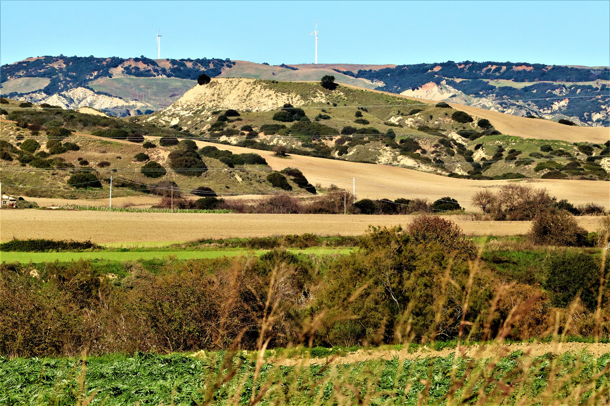 Tra il Picoco e il Campanaro 6