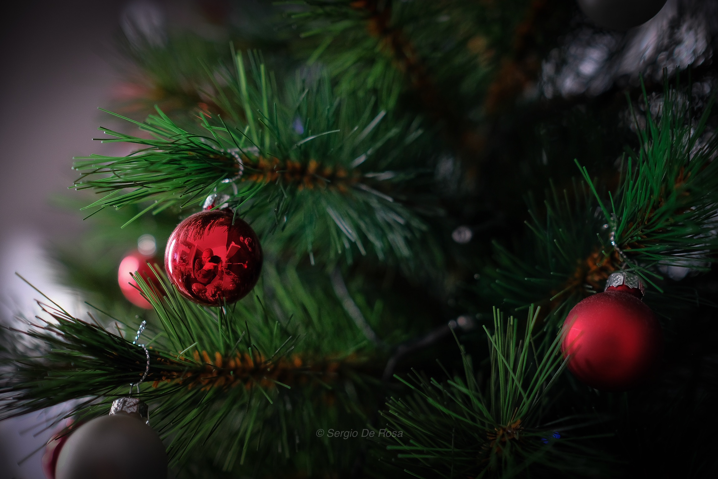 ... è arrivato Natale!