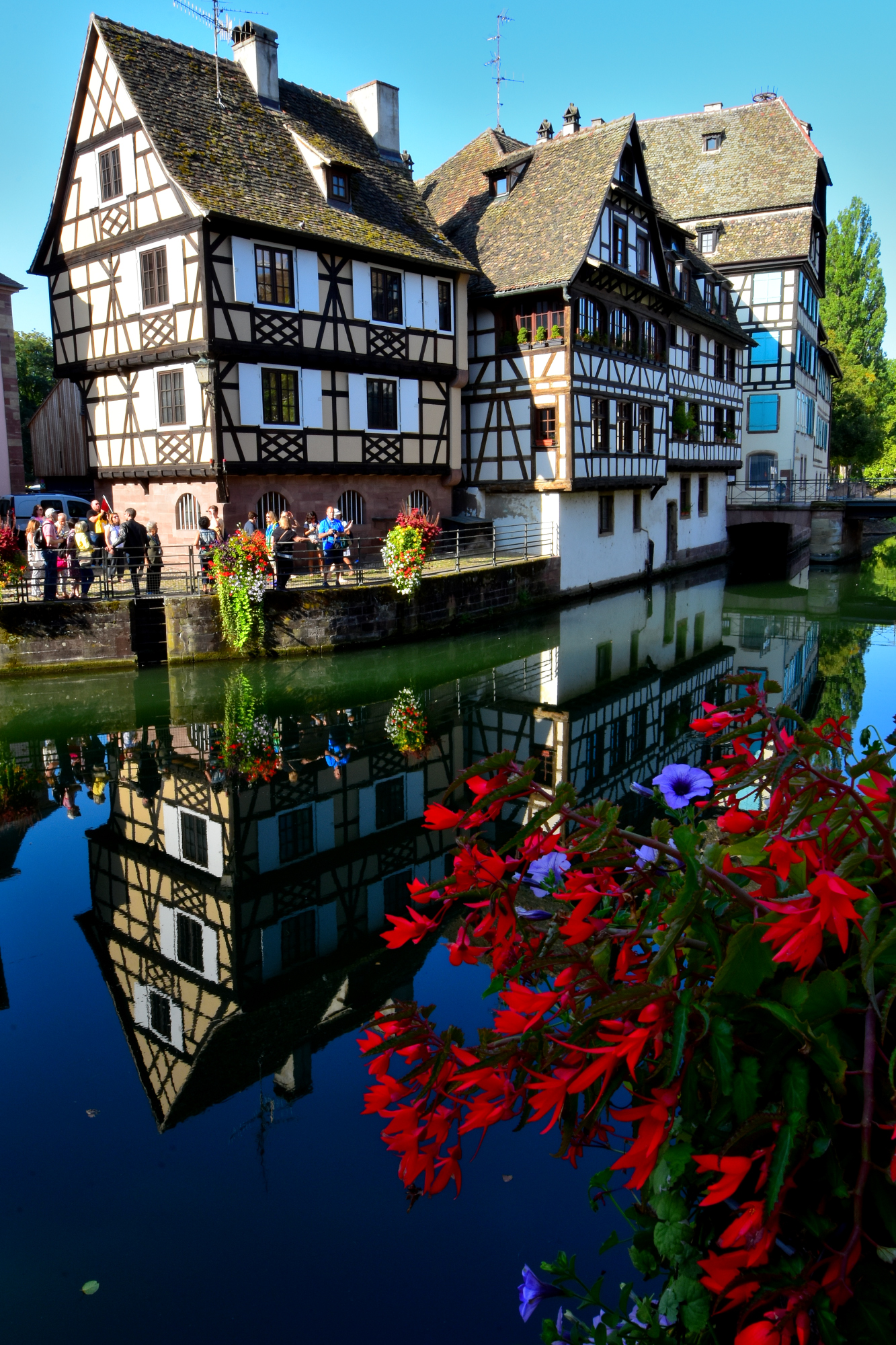 Strasbourg: i fiori della Petite France