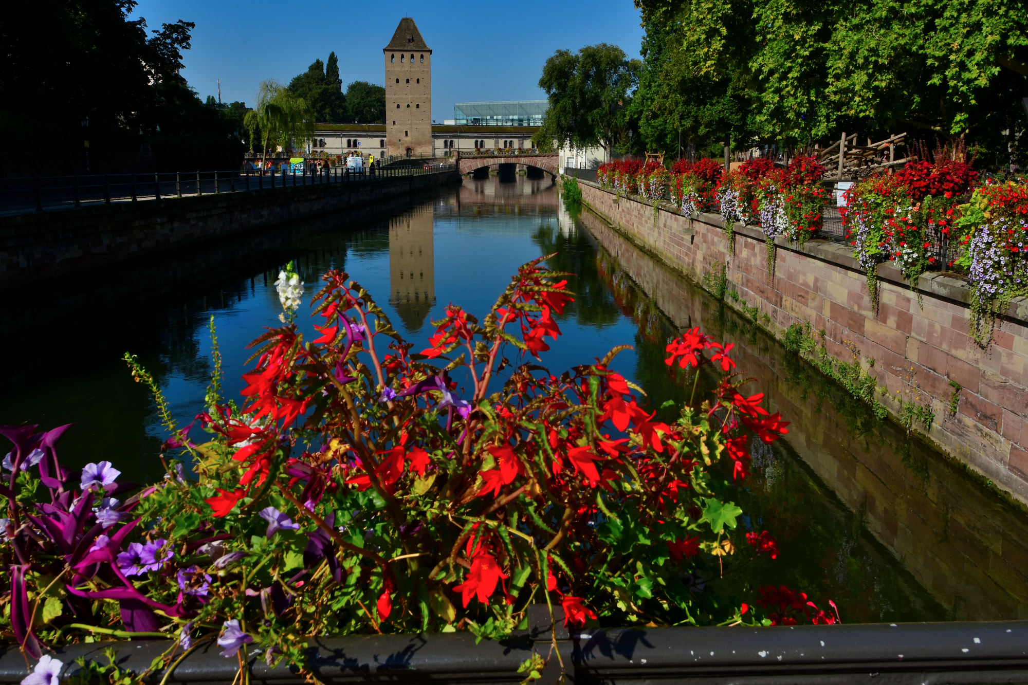 Strasbourg: canali fioriti e torri di guardia