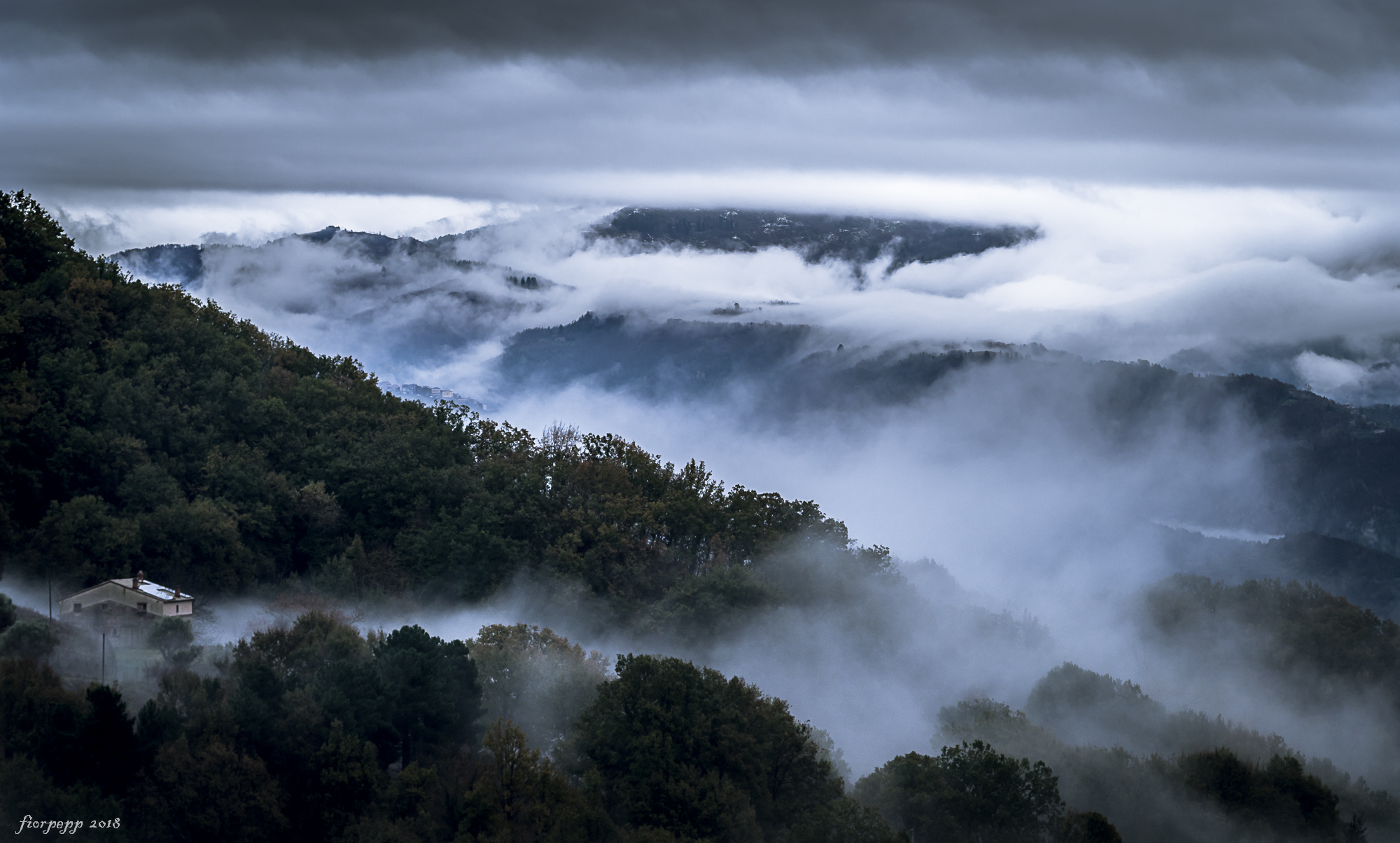 The fog to the bristling hills....