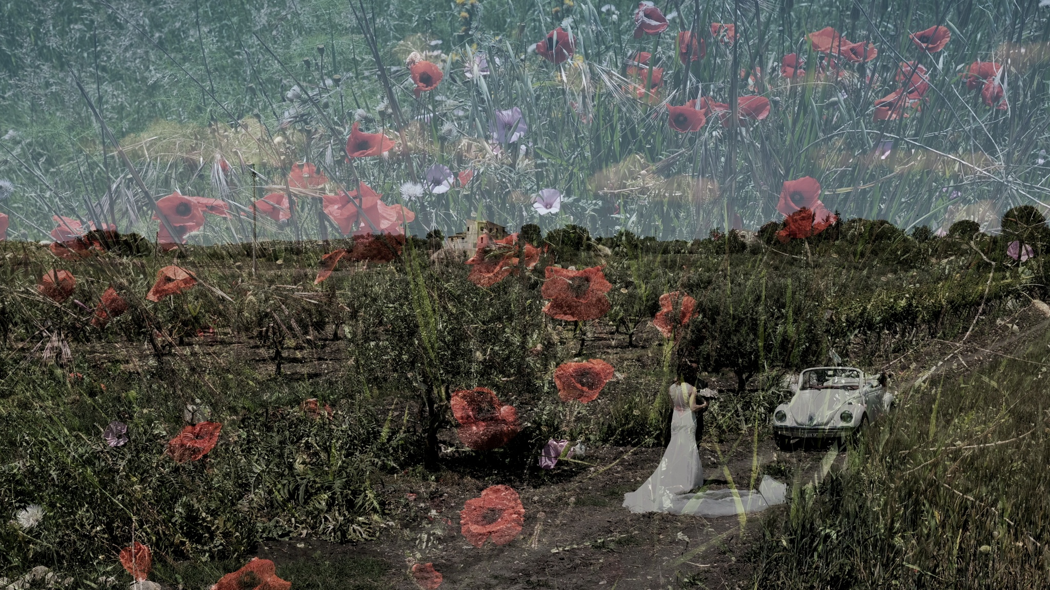 Double instant exposure.