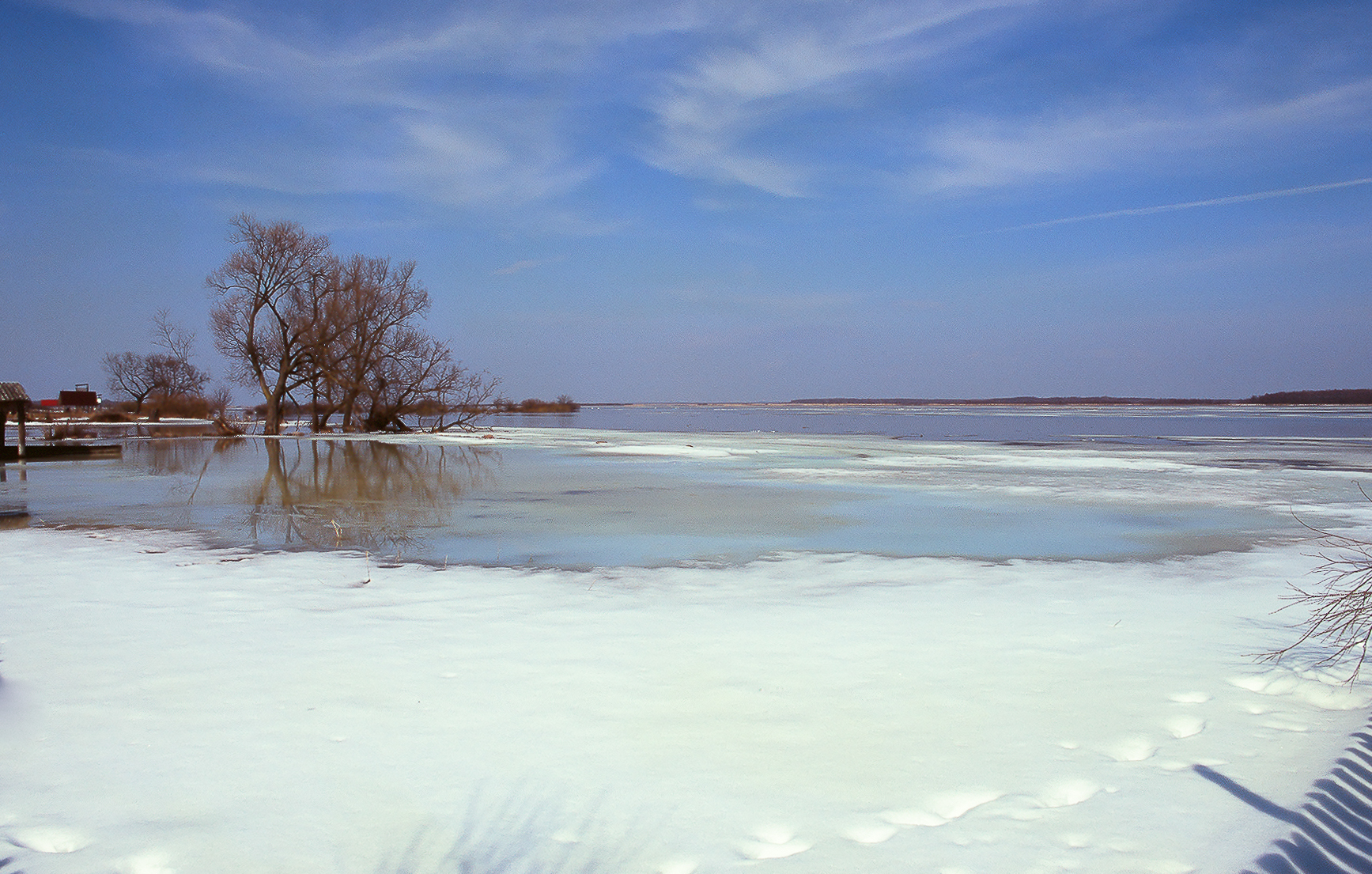 Narew river