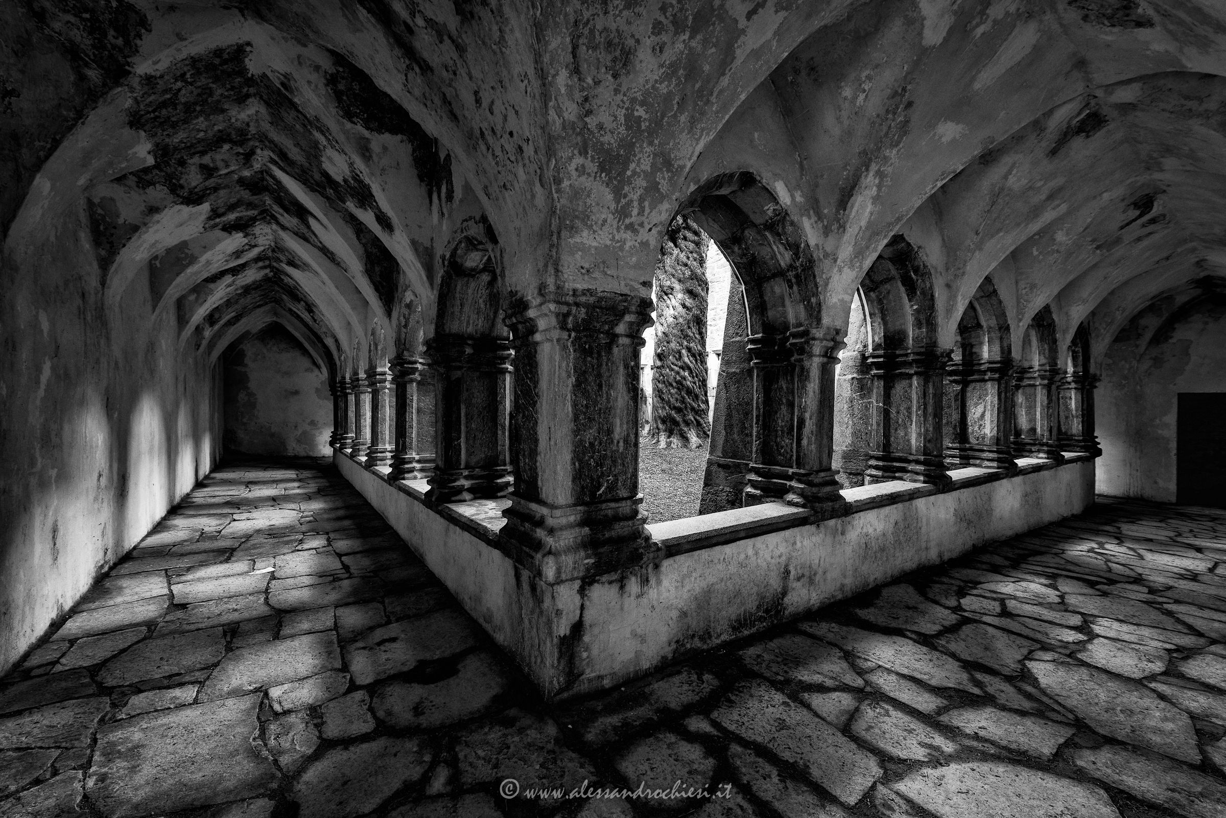 Dark abbey into the wild Irish