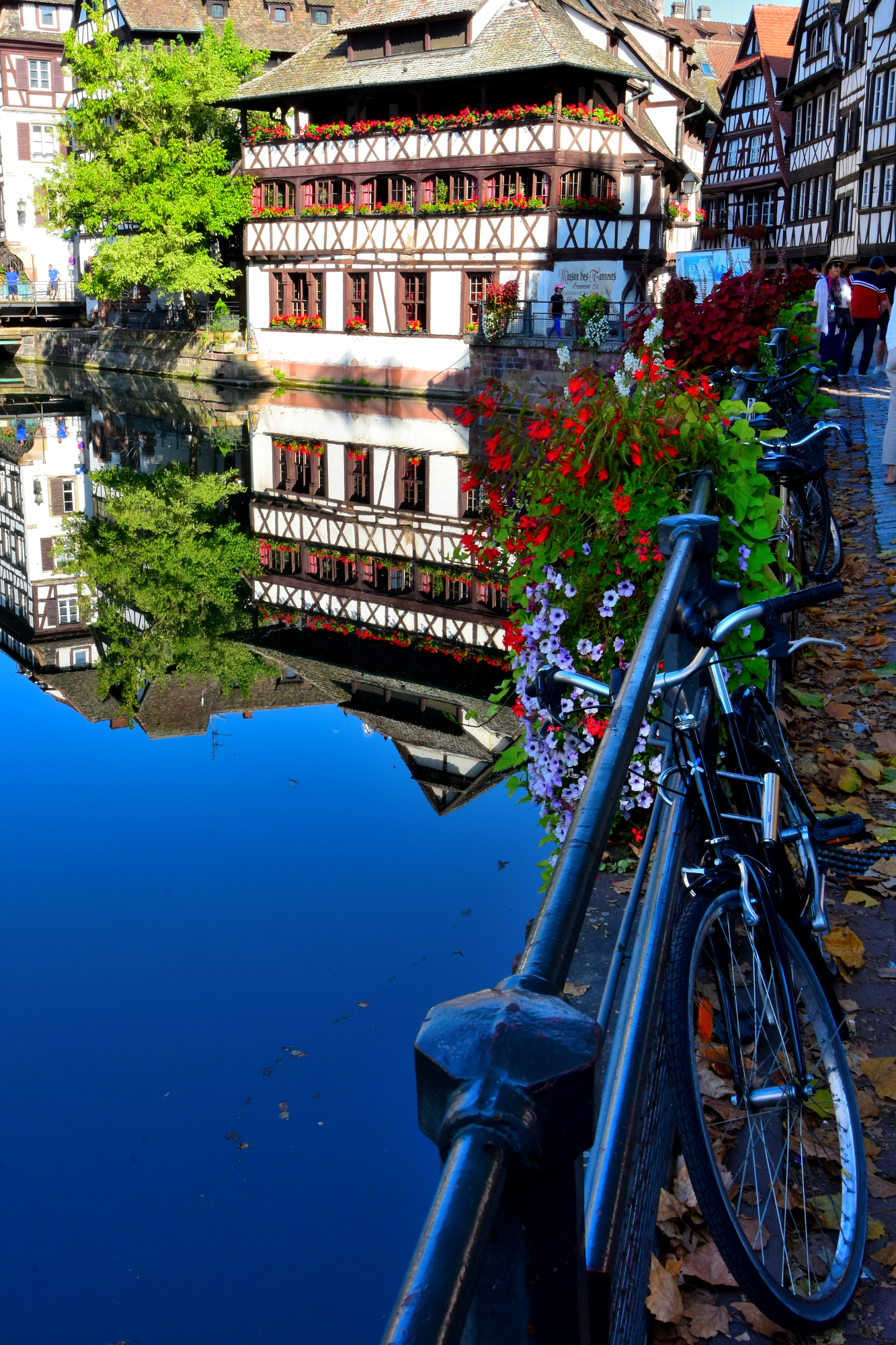 Strasbourg: the old bicycle