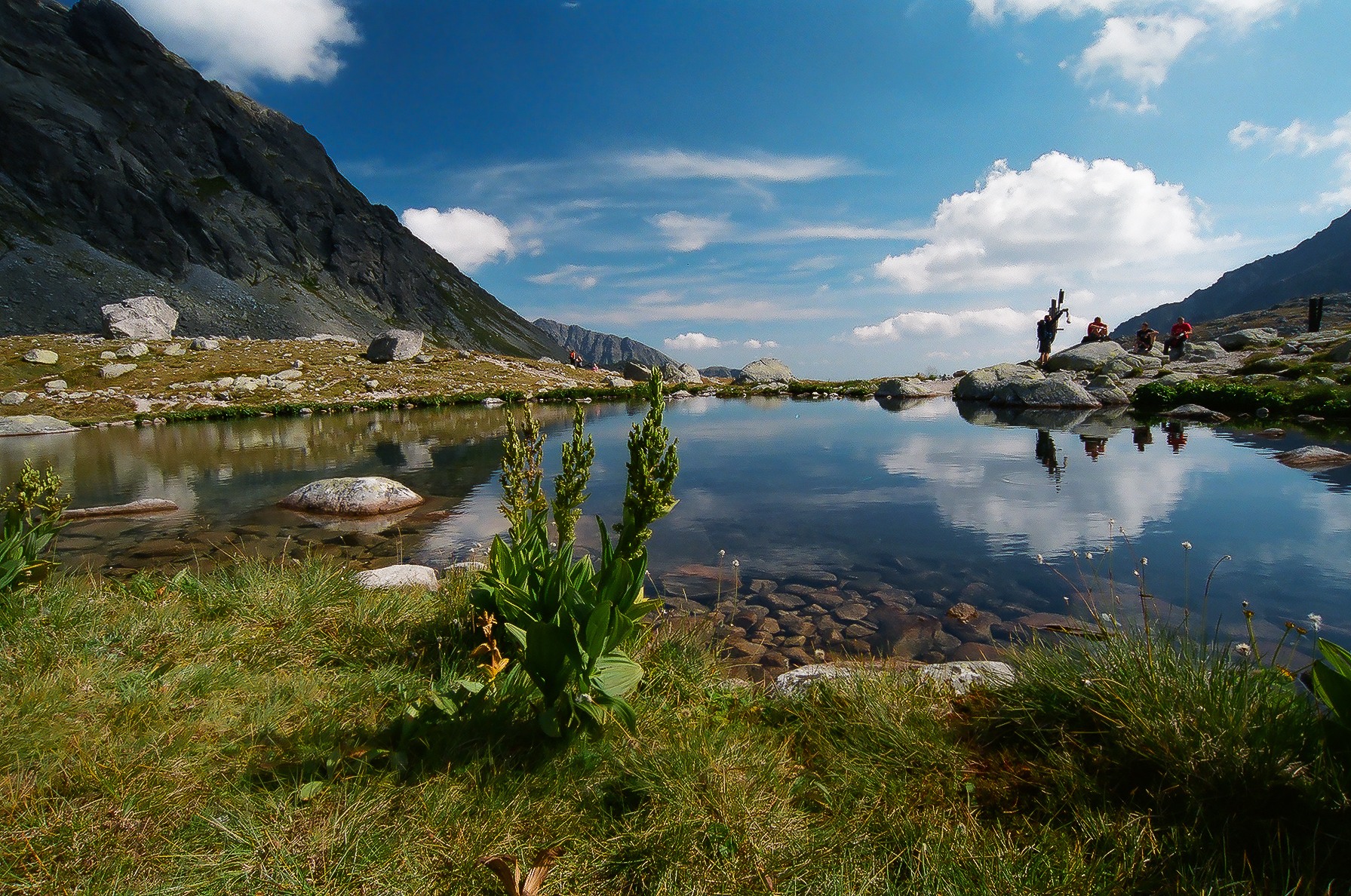 Alta montagna di Tatra della Slovacchia