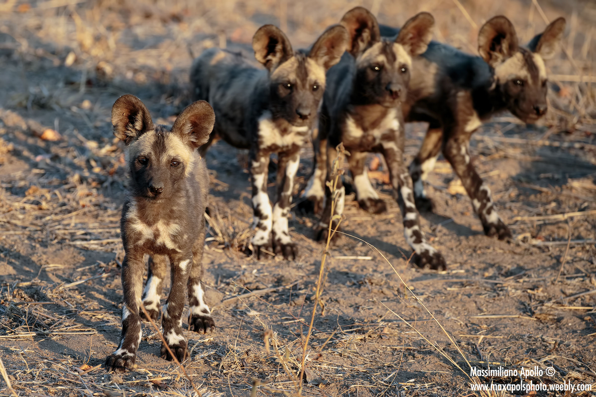 La banda combinaguai..