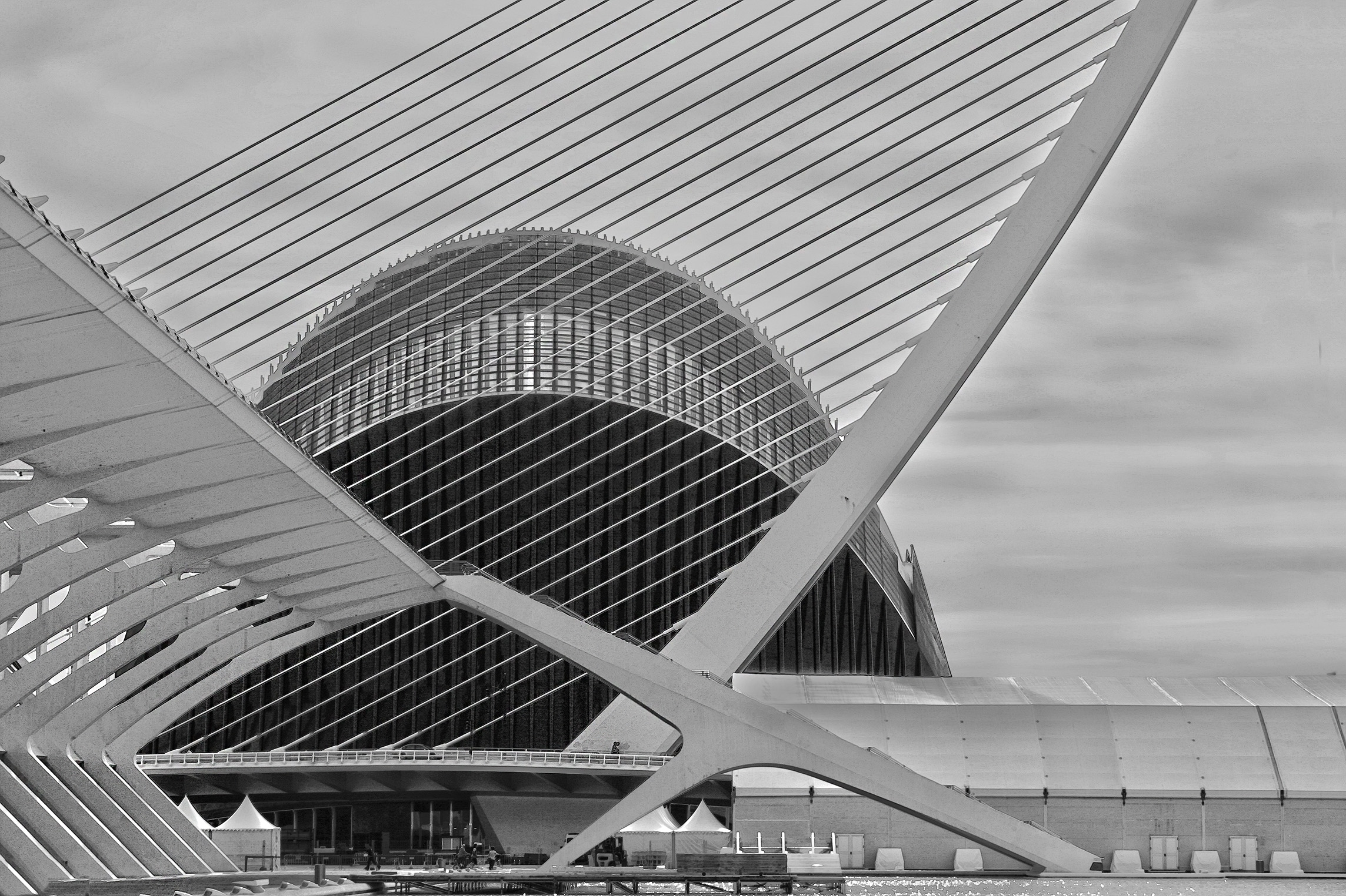 Valencia città della scienza bw