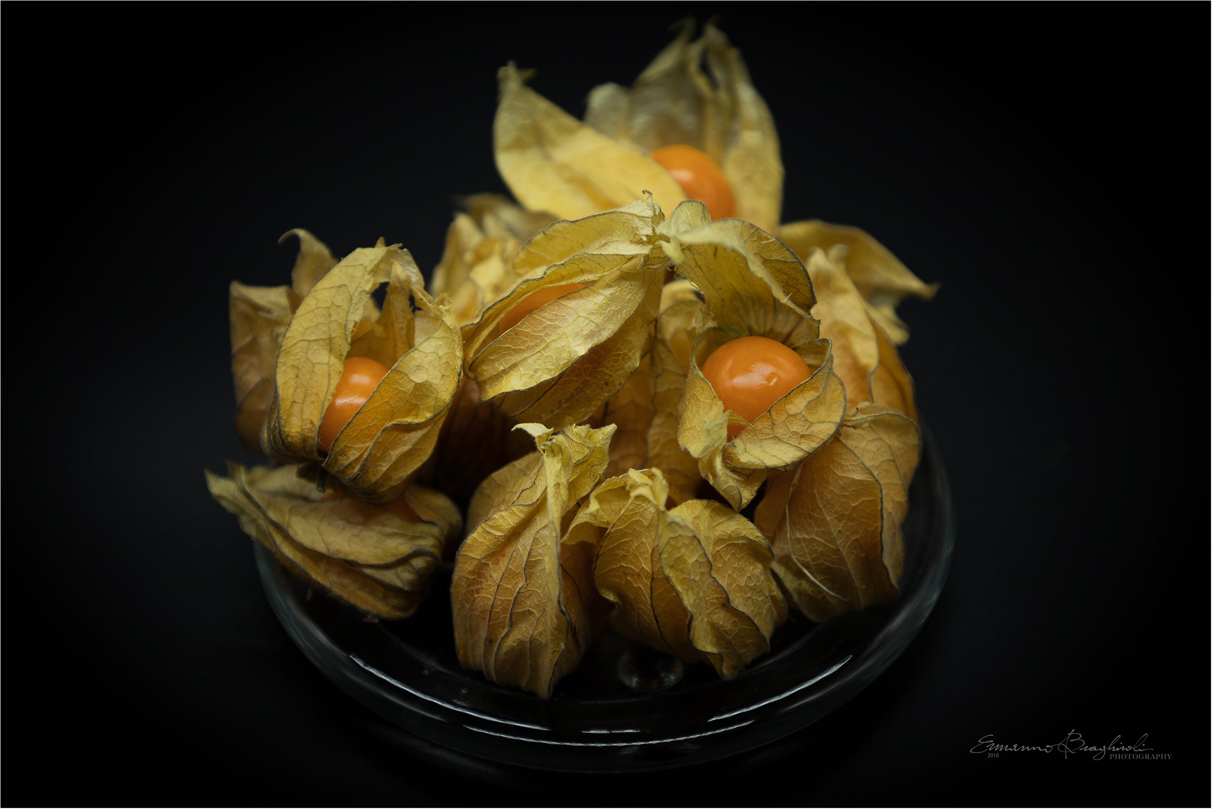 Physalis alkekengi