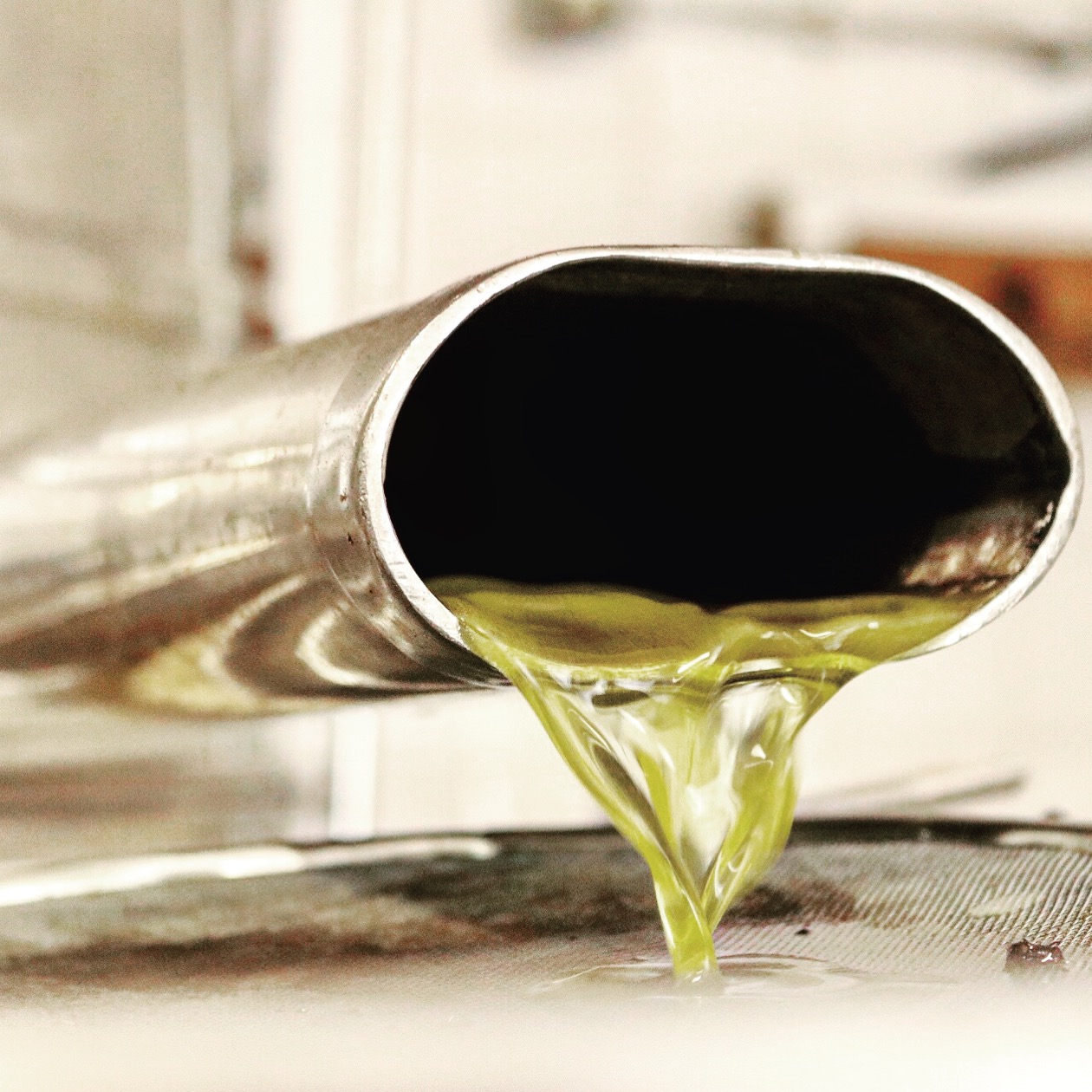 Olio extravergine calabrese