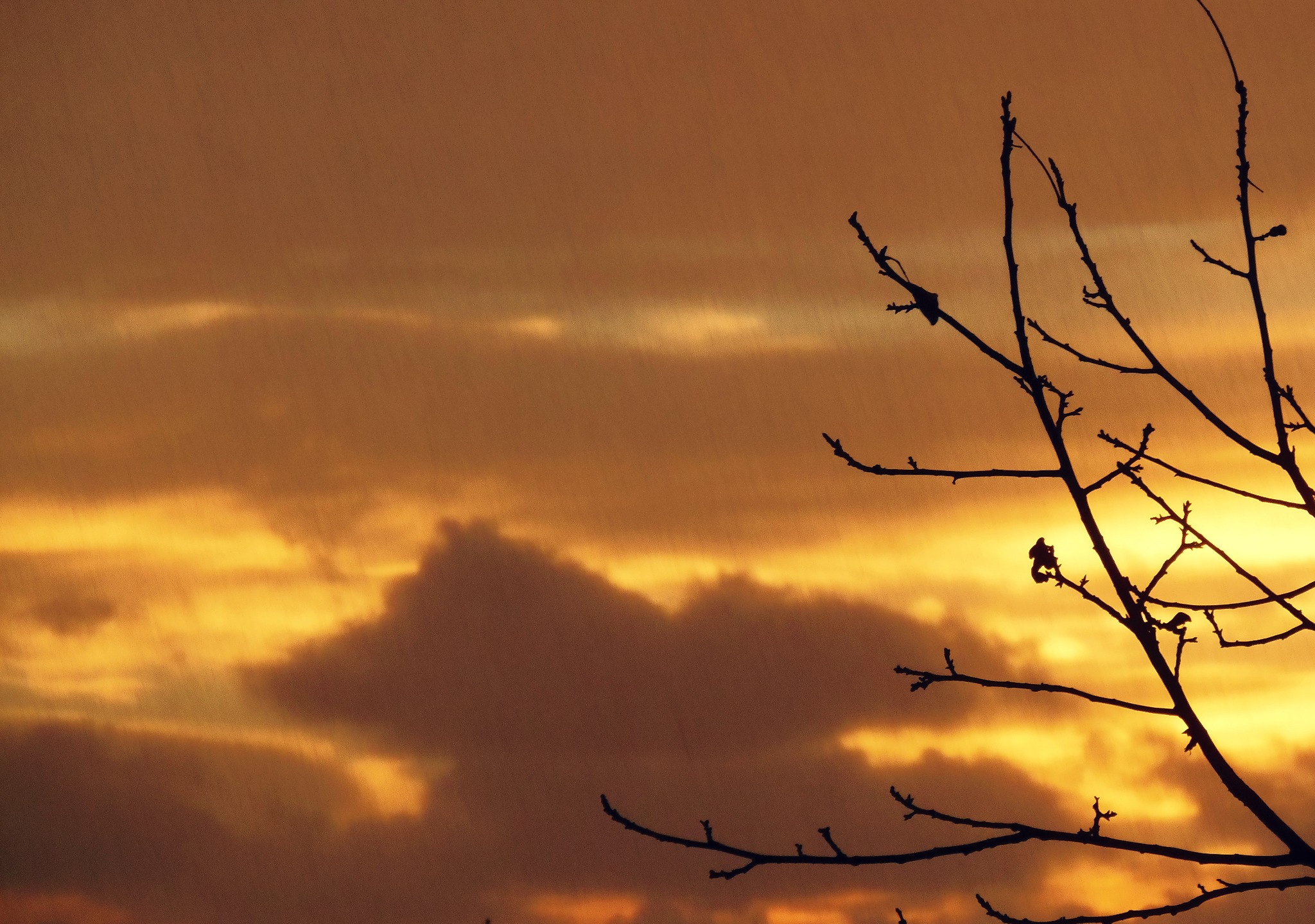 Il Temporale sta arrivando..