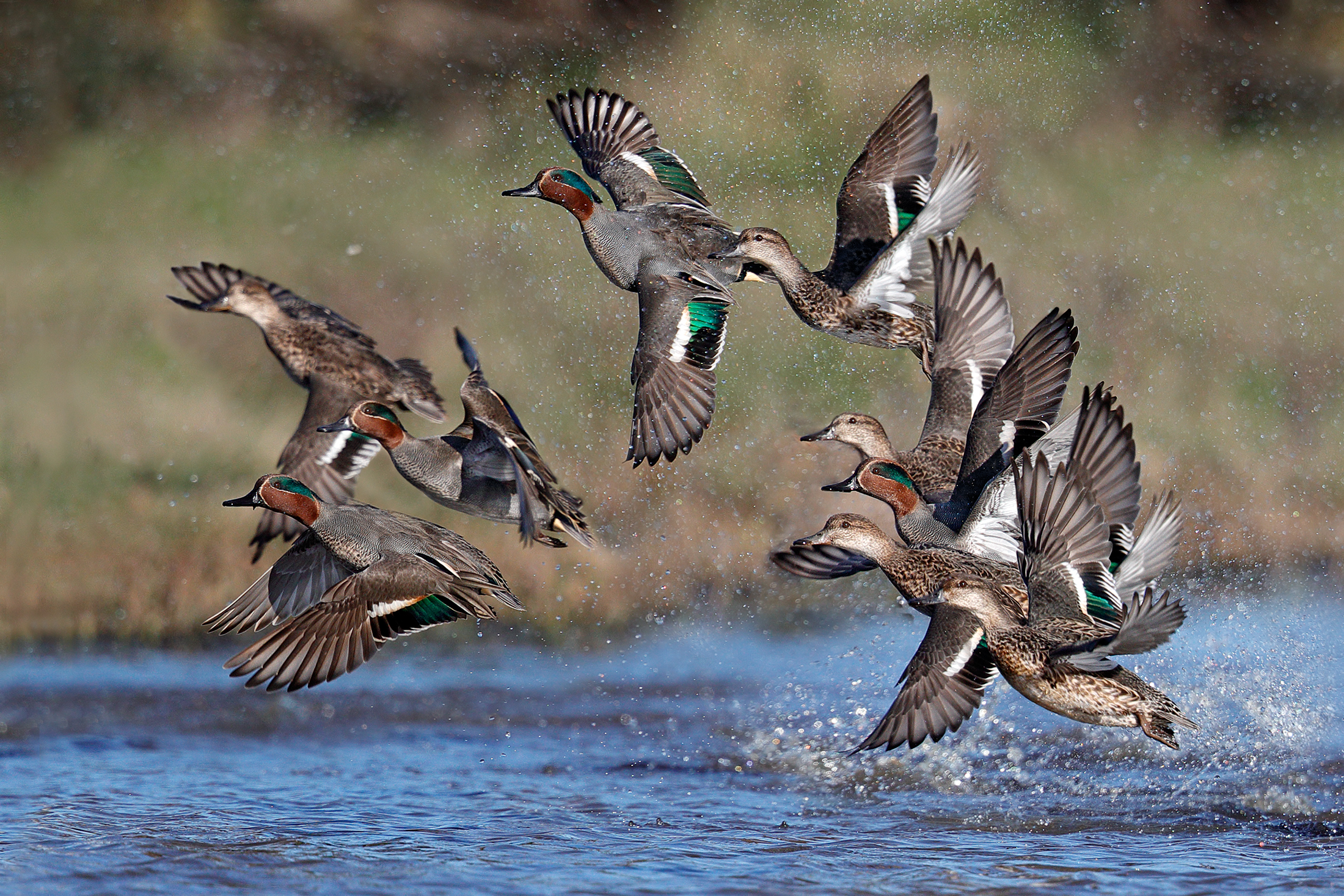 The detachment of the lifting