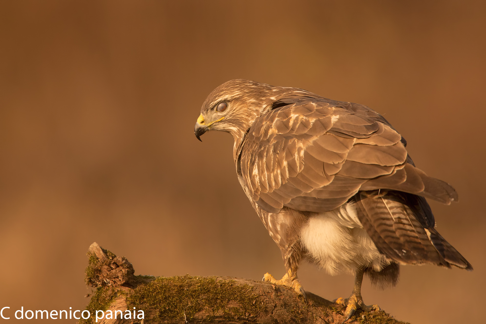 l'occhio del diavolo