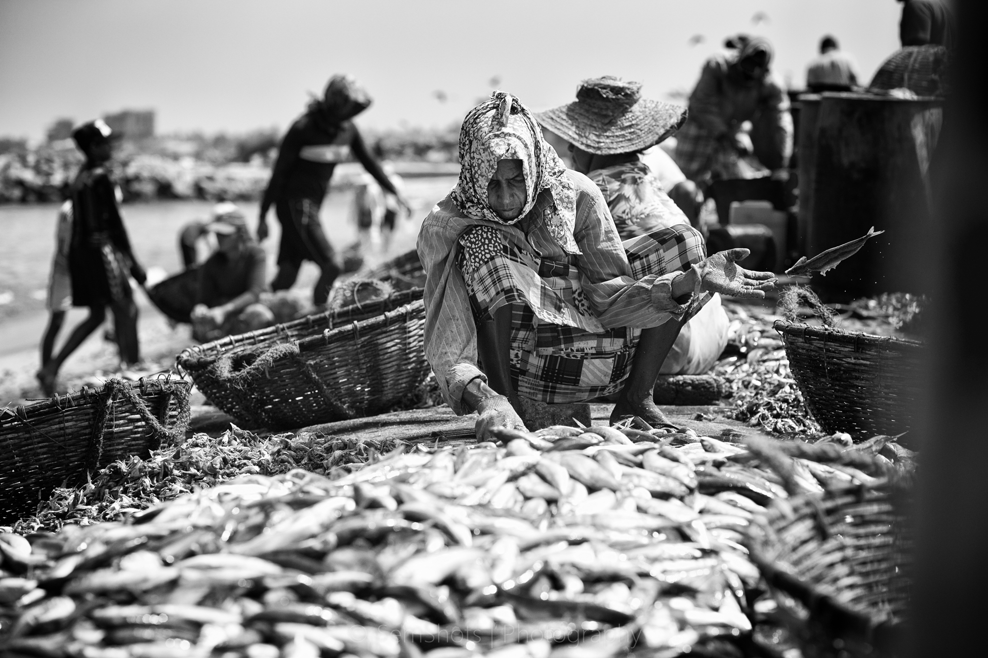 Cleaning and Sorting