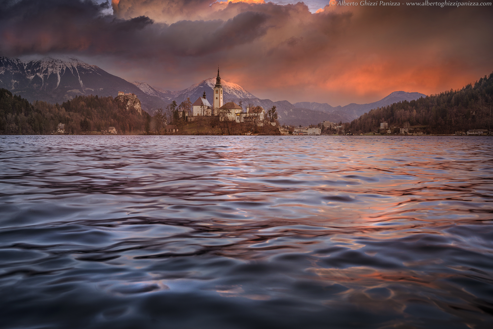 Sunset Rose on Bled