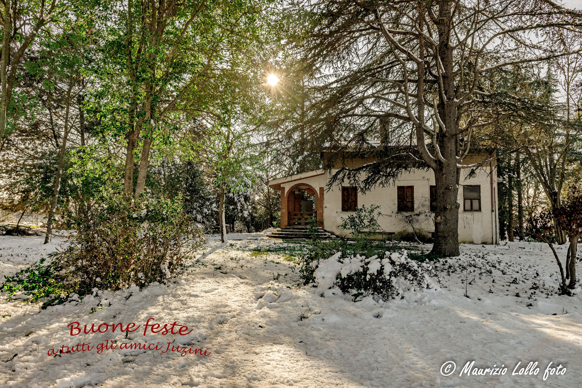 una casa nel bosco - Buone feste