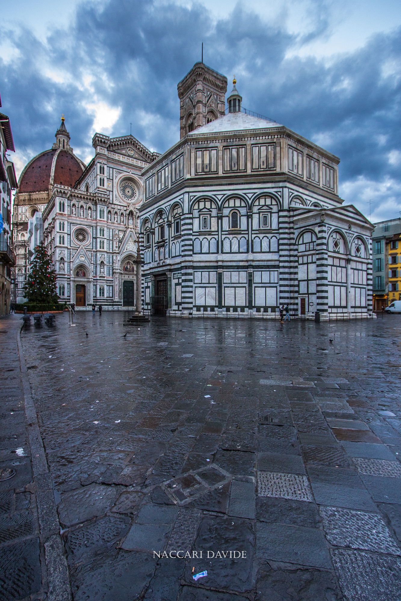 Piazza Douomo e l'albero di Natale