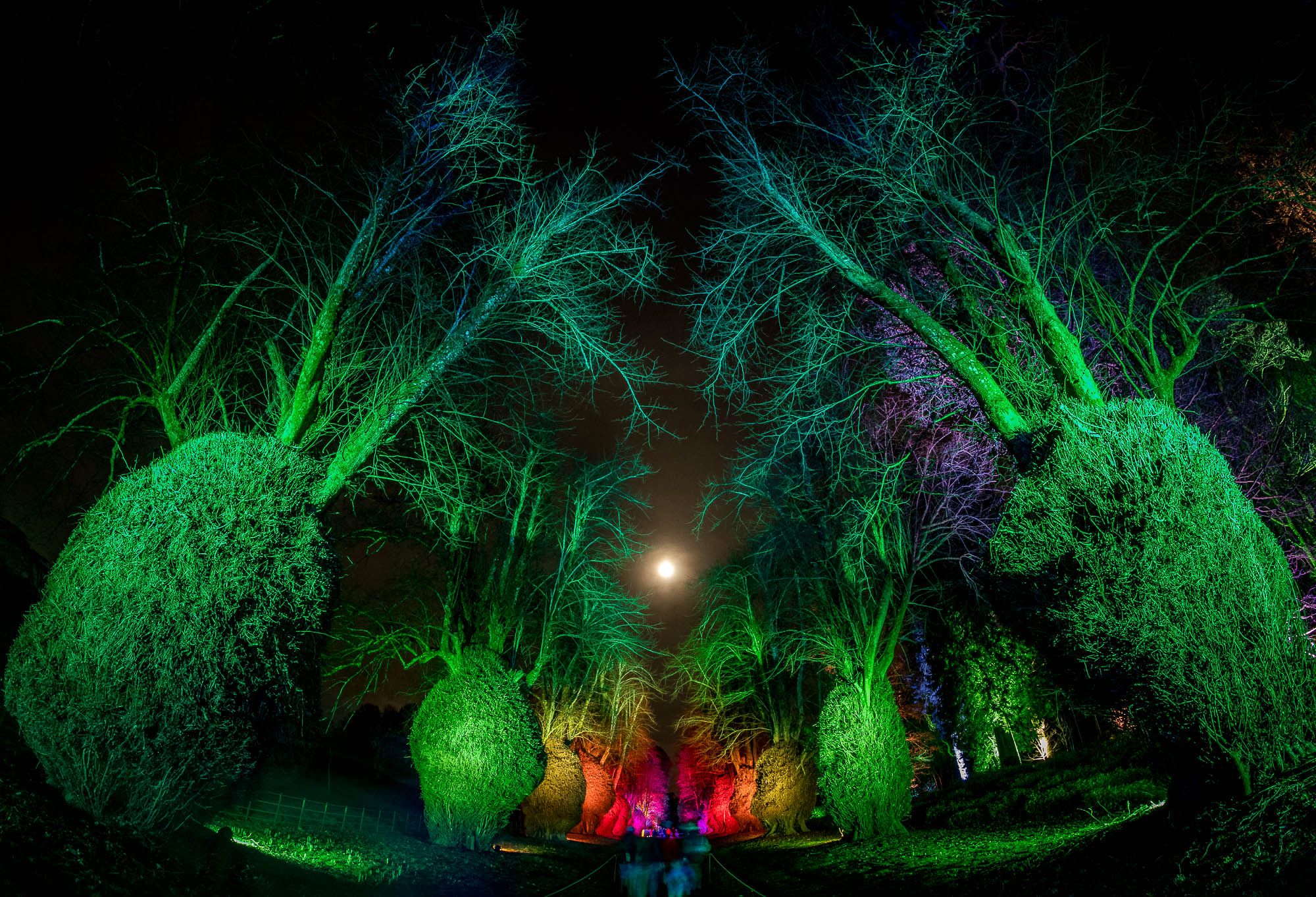 Christmas Lights At Kingston Lacy 2018