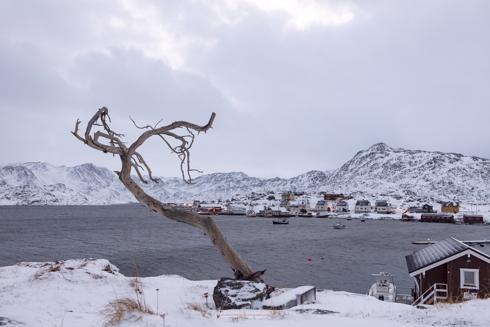 2018 Gennaio, Notti magiche nel Finnmark