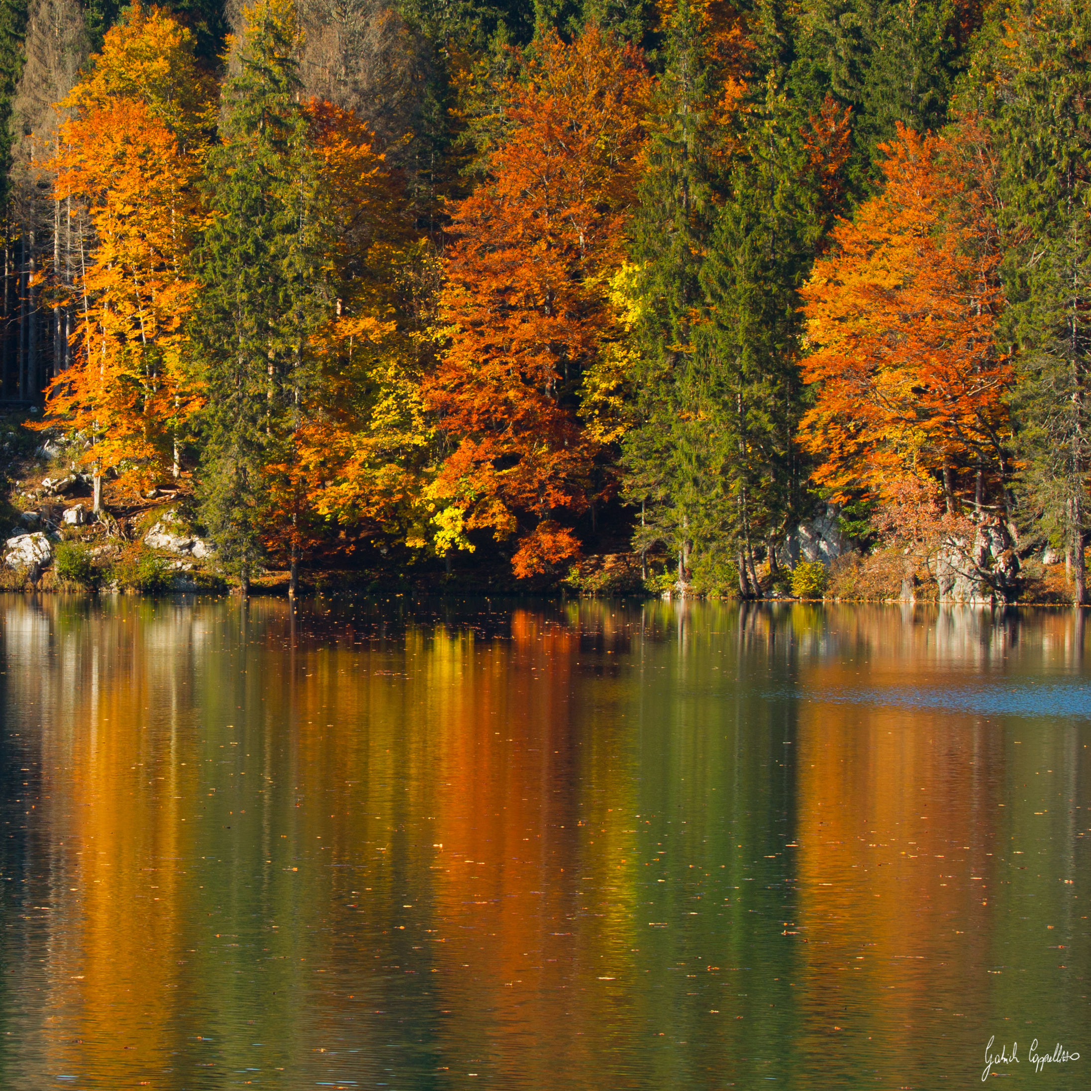 L'armonia dei colori