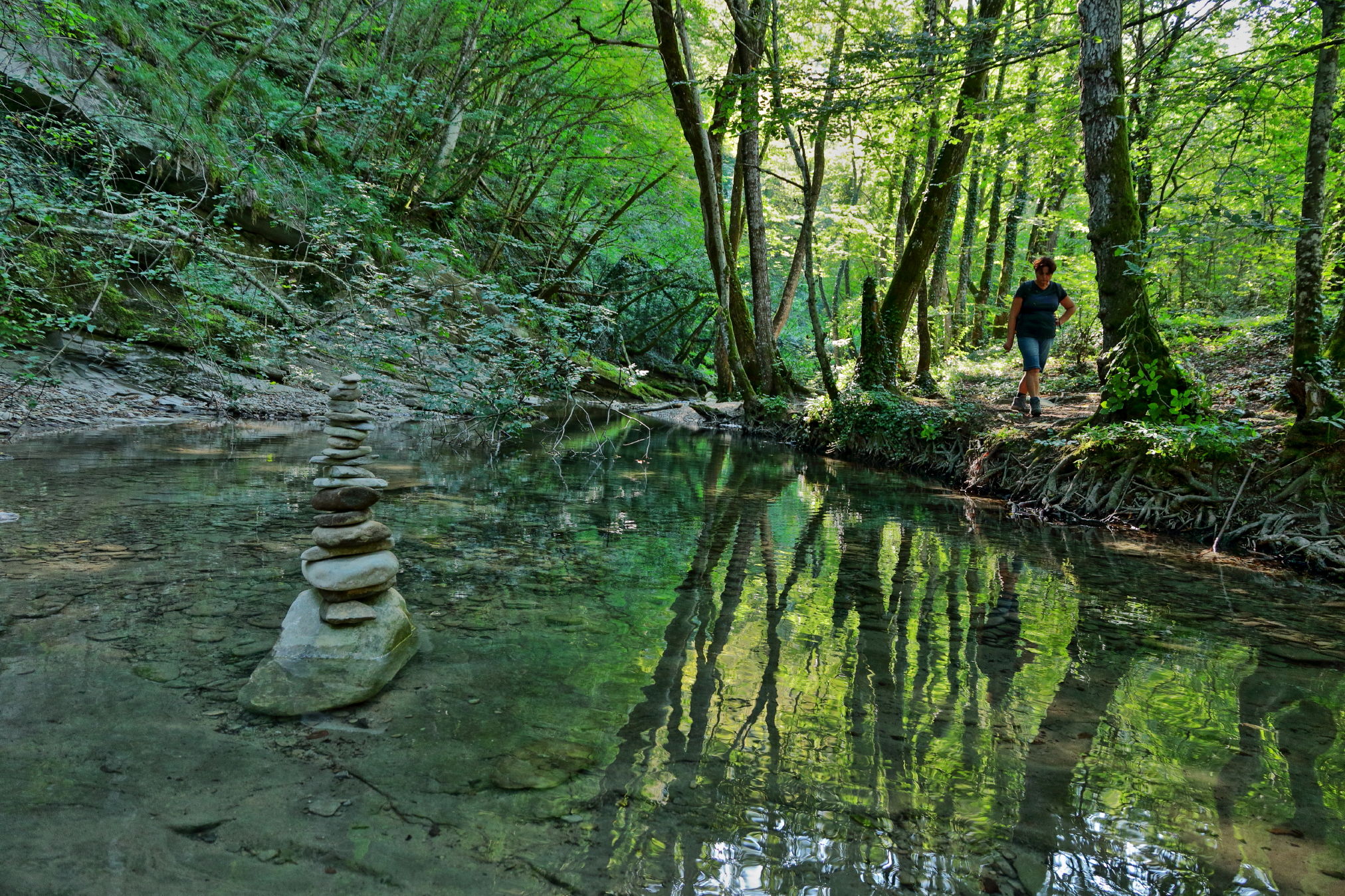 Reflections walking along the creek
